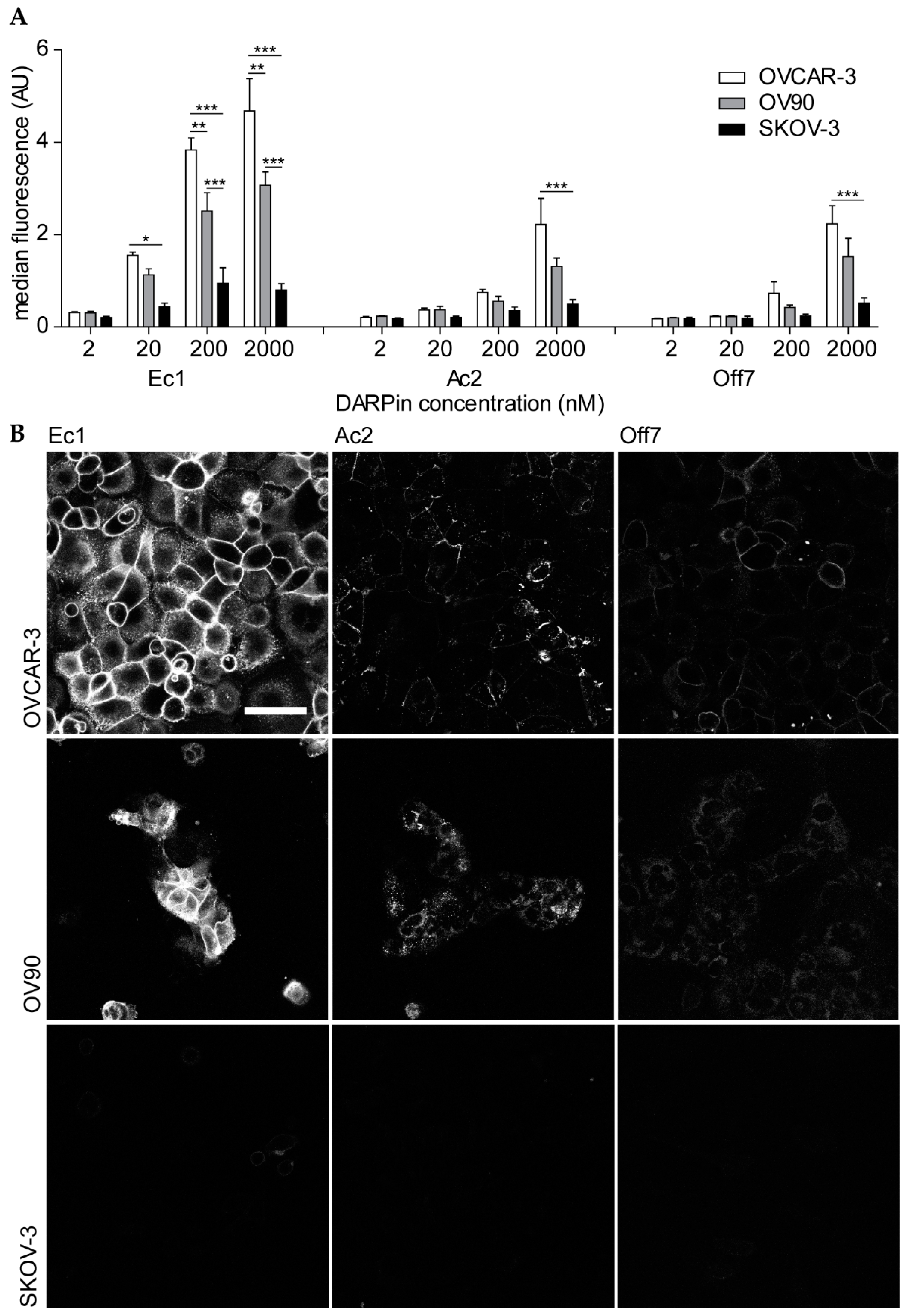 Cancers 12 01762 g002 Cancers 12 01762 g002
