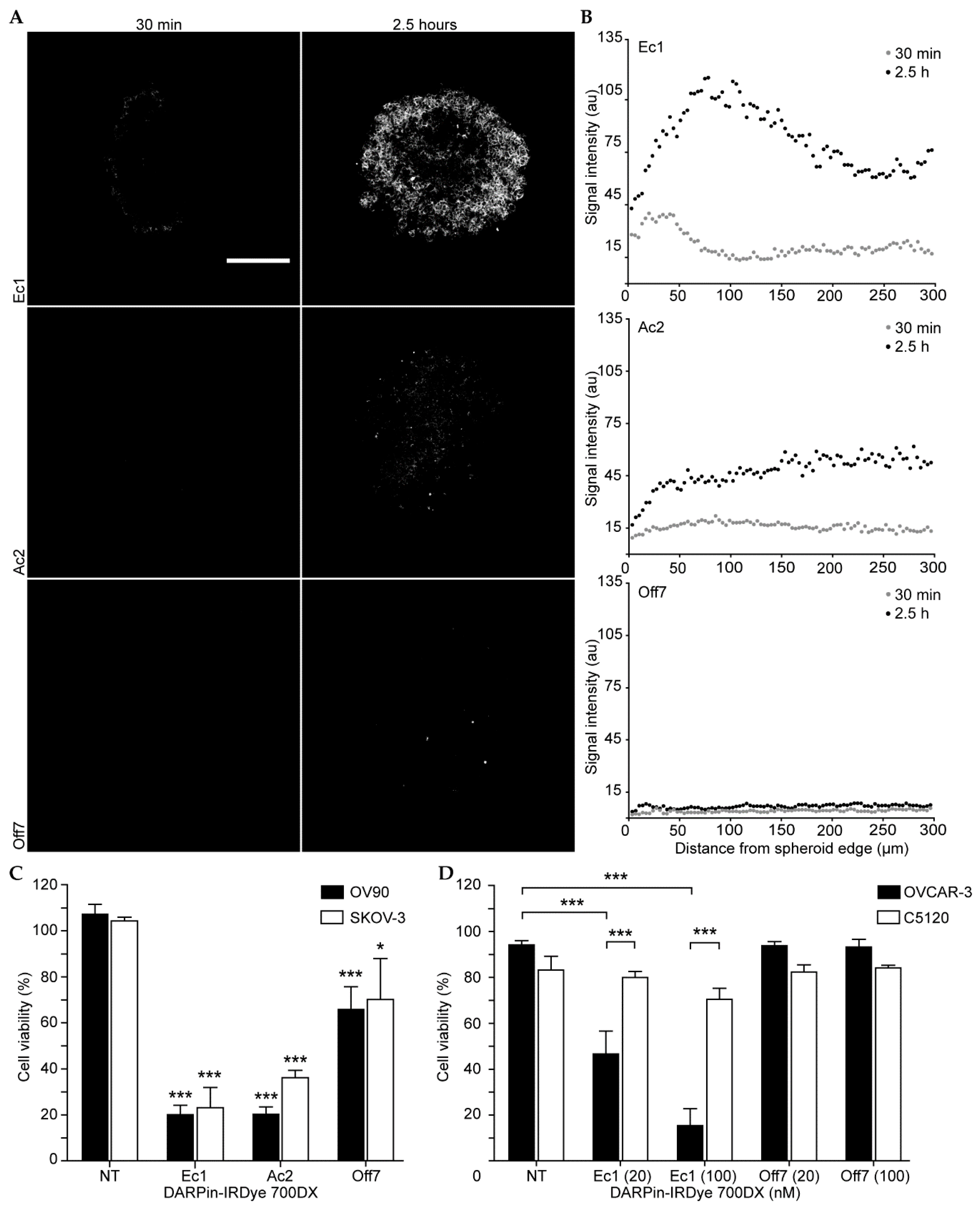 Cancers 12 01762 g004 Cancers 12 01762 g004