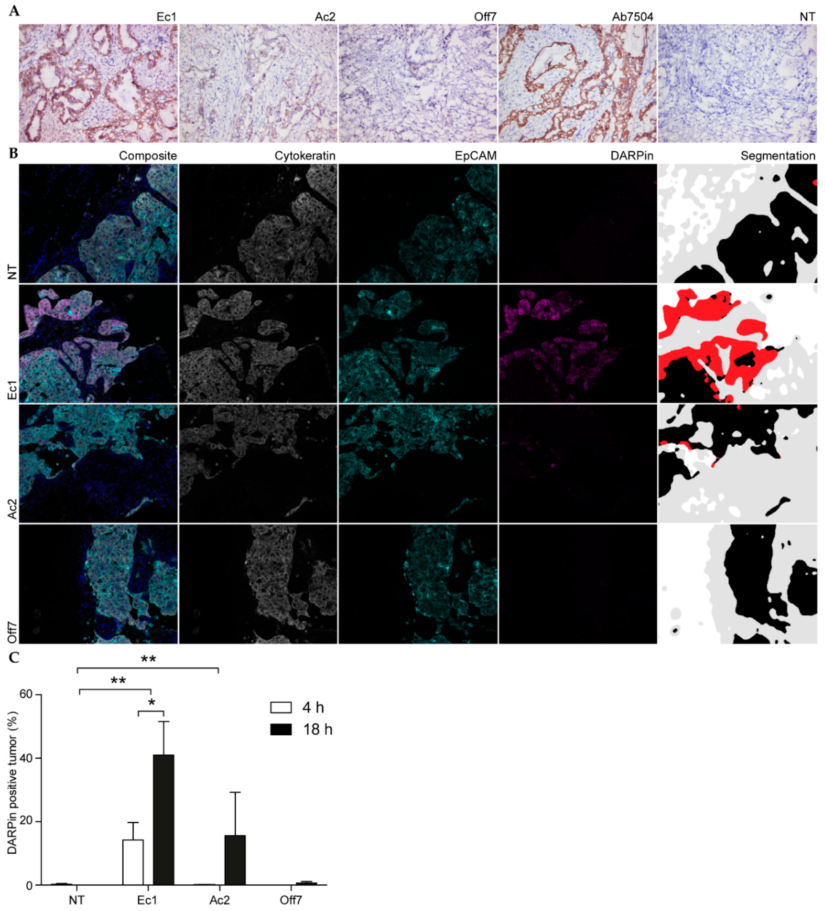 Cancers 12 01762 g006 Cancers 12 01762 g006