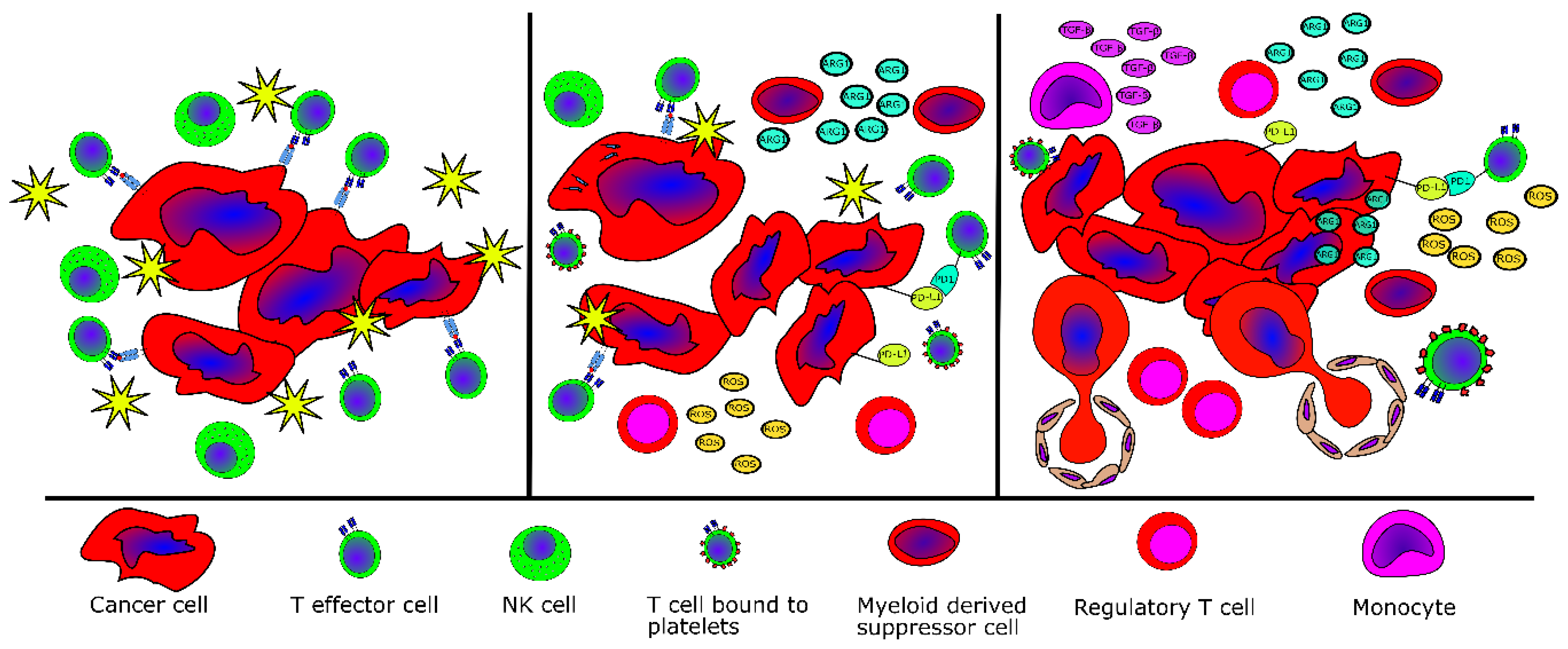 Cancers 12 01763 g002 Cancers 12 01763 g002