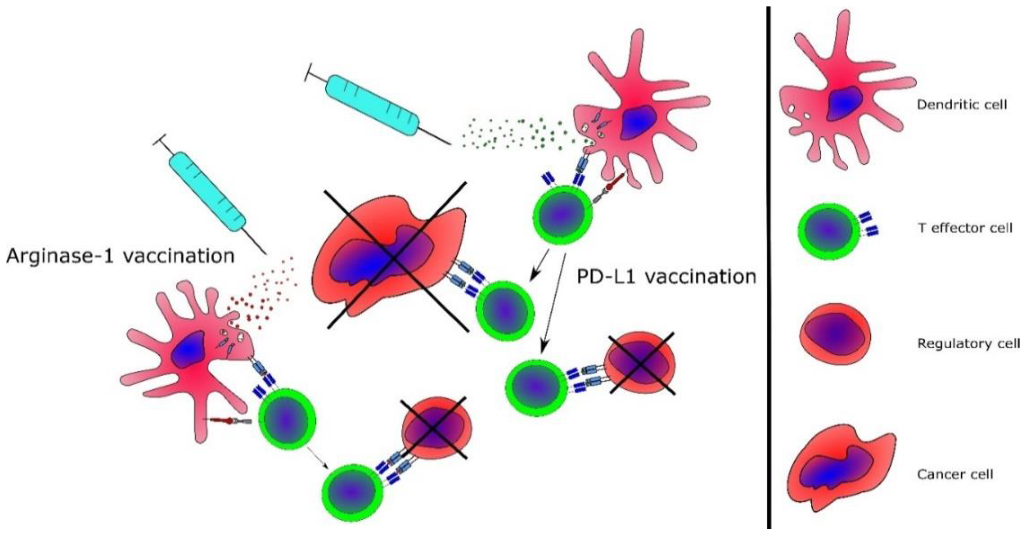 Cancers 12 01763 g003 Cancers 12 01763 g003