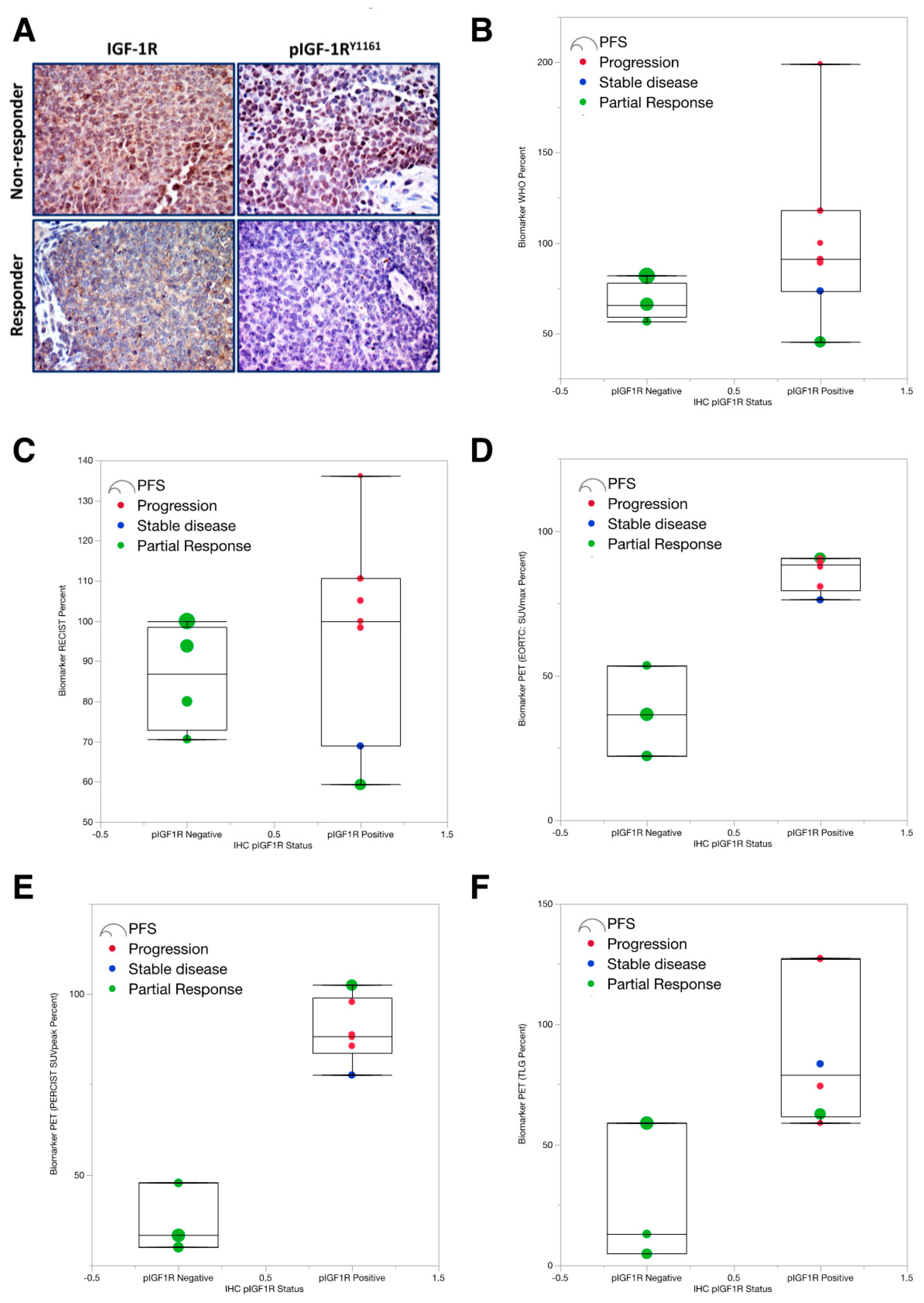 Cancers 12 01768 g003 Cancers 12 01768 g003