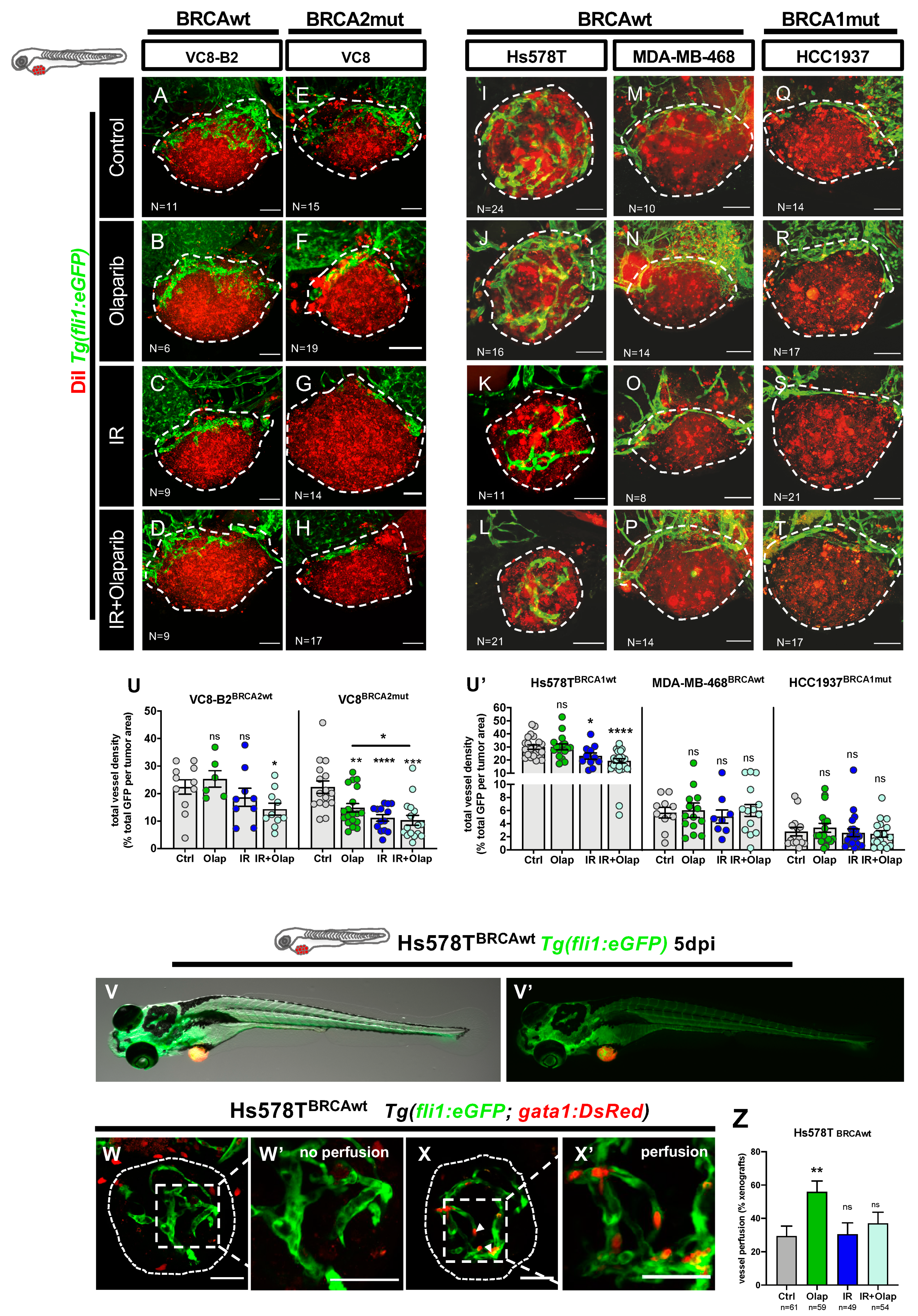 Cancers 12 01769 g004 Cancers 12 01769 g004