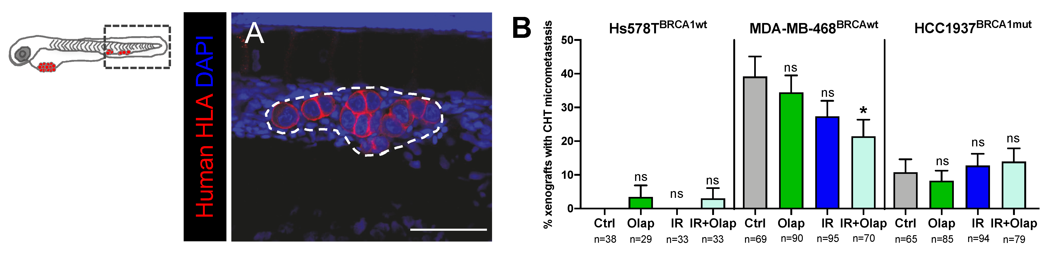 Cancers 12 01769 g005 Cancers 12 01769 g005