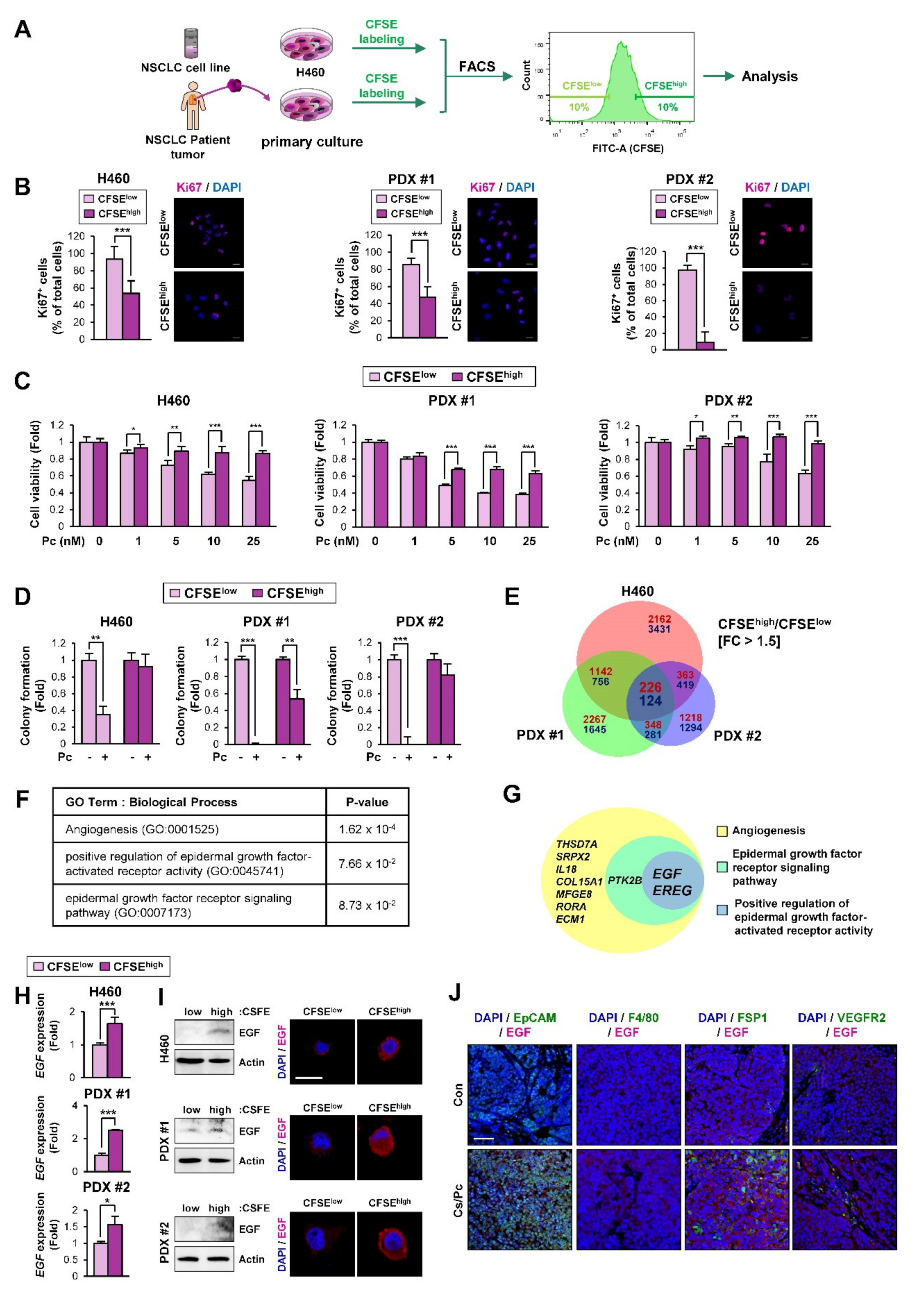 Cancers 12 01772 g002