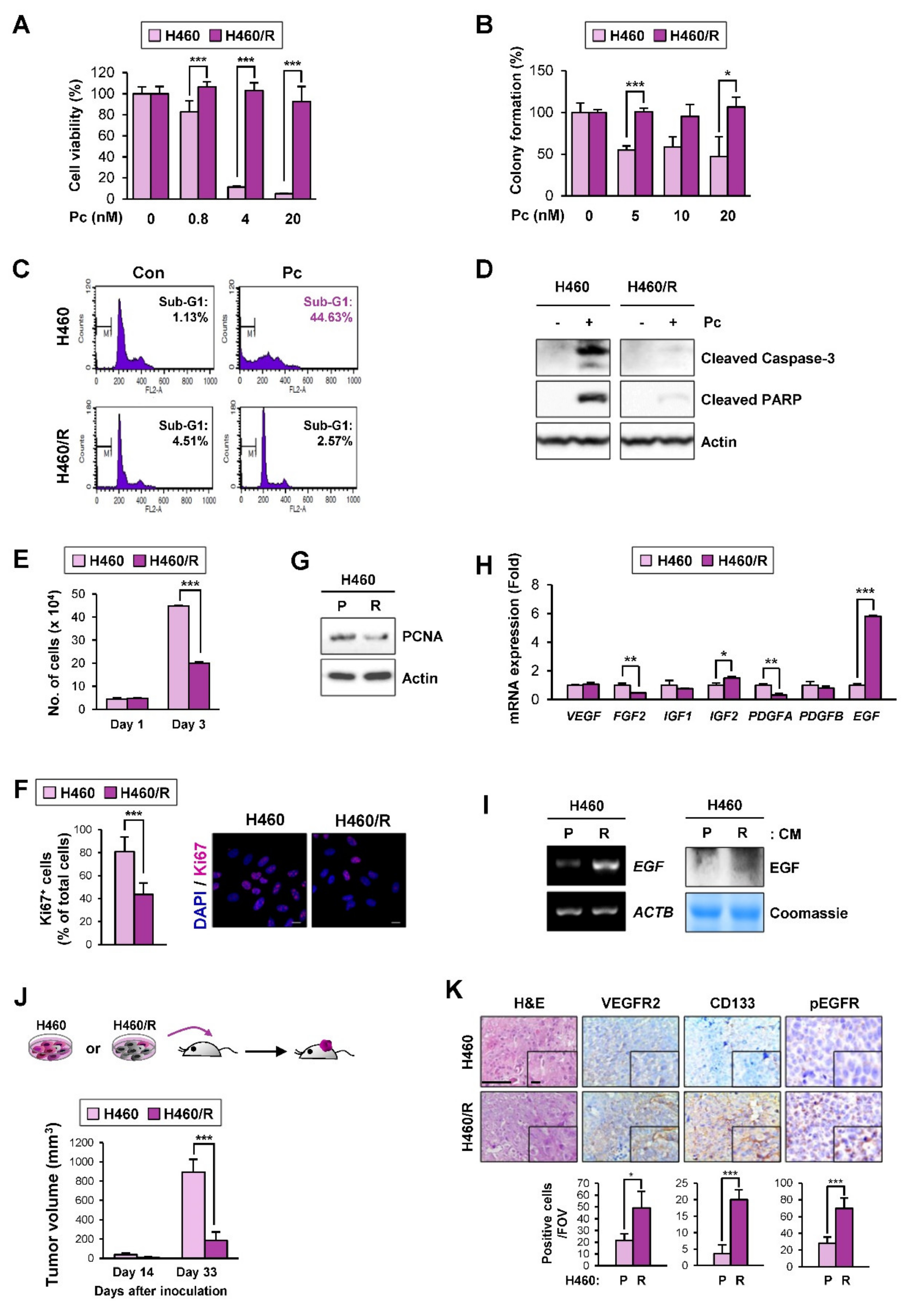 Cancers 12 01772 g004