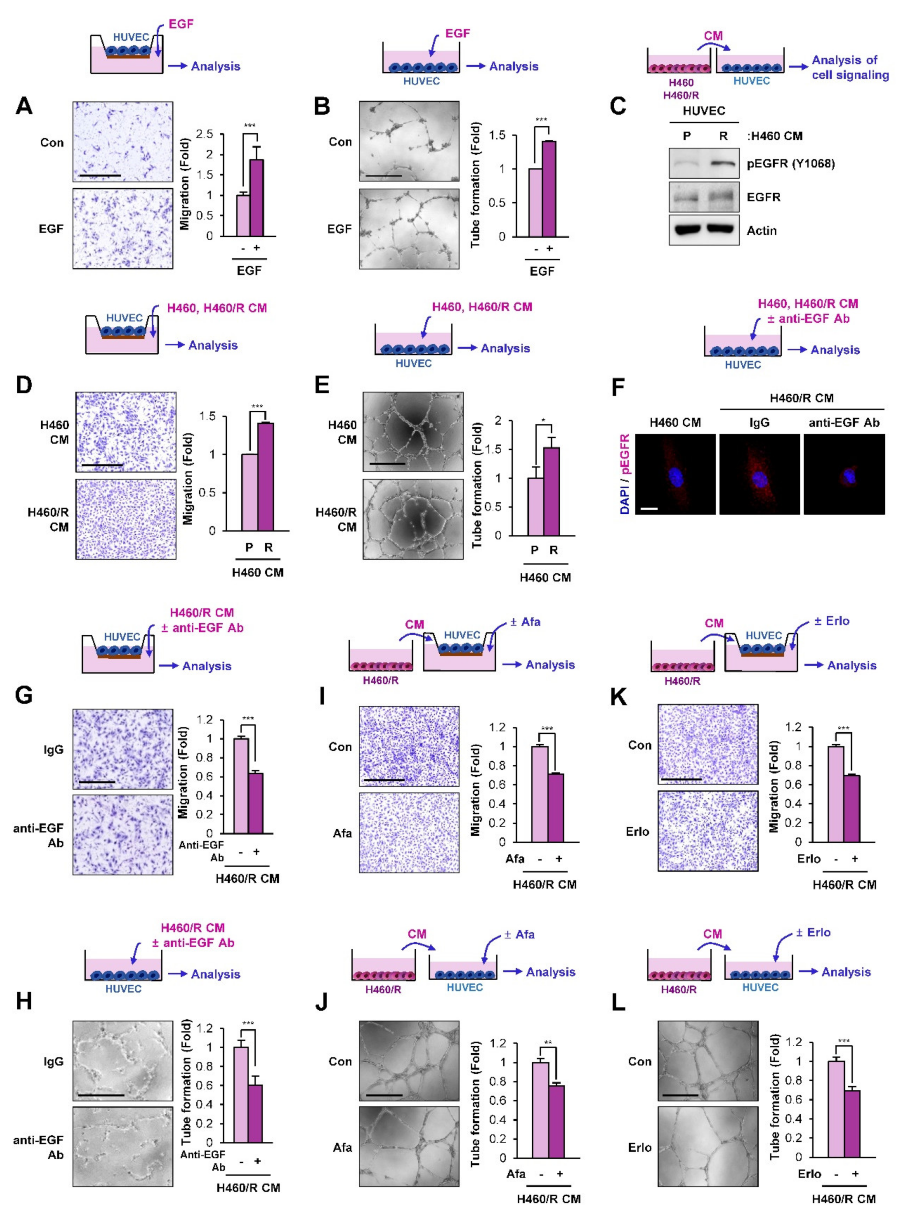 Cancers 12 01772 g005