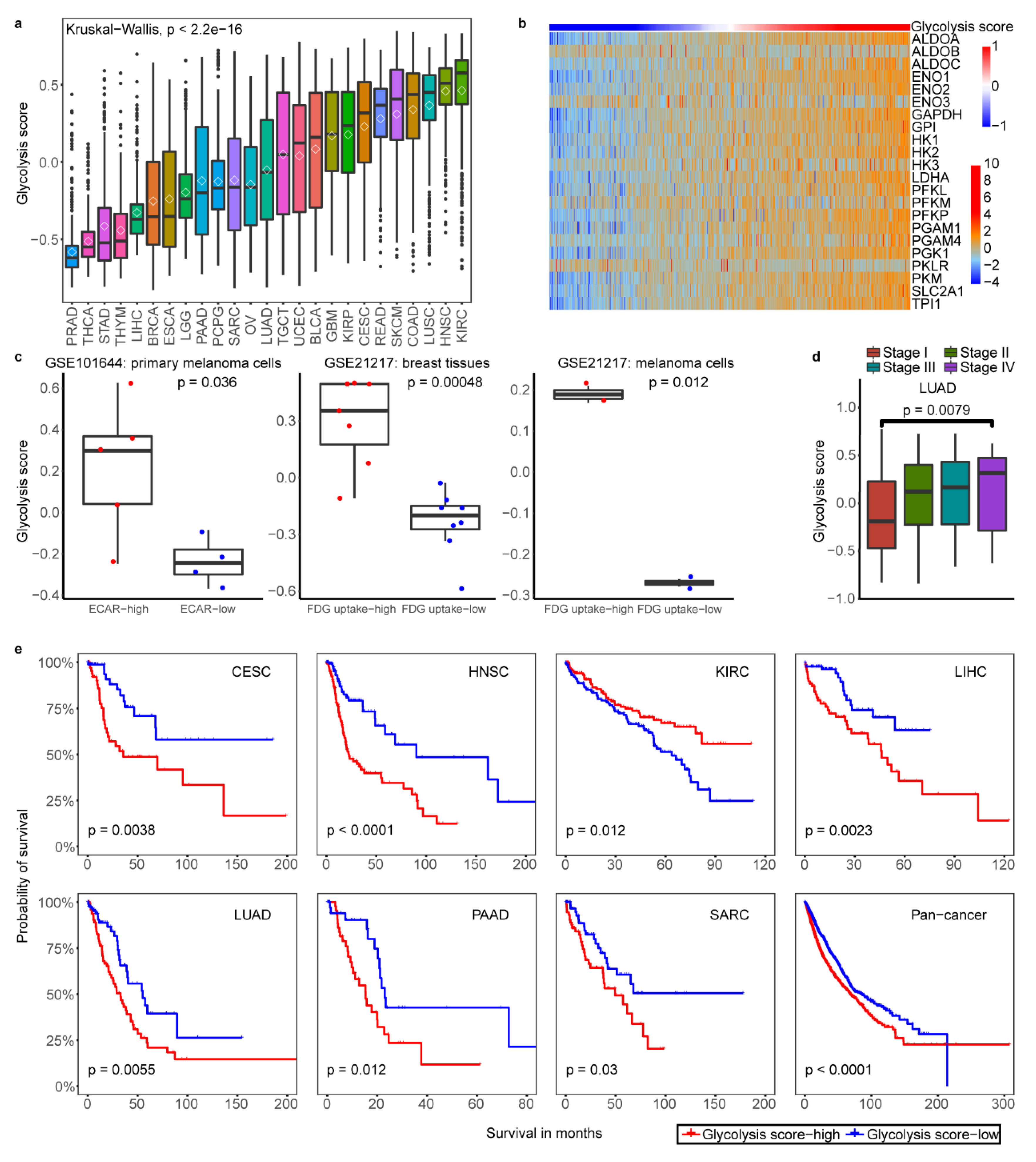 Cancers 12 01788 g001
