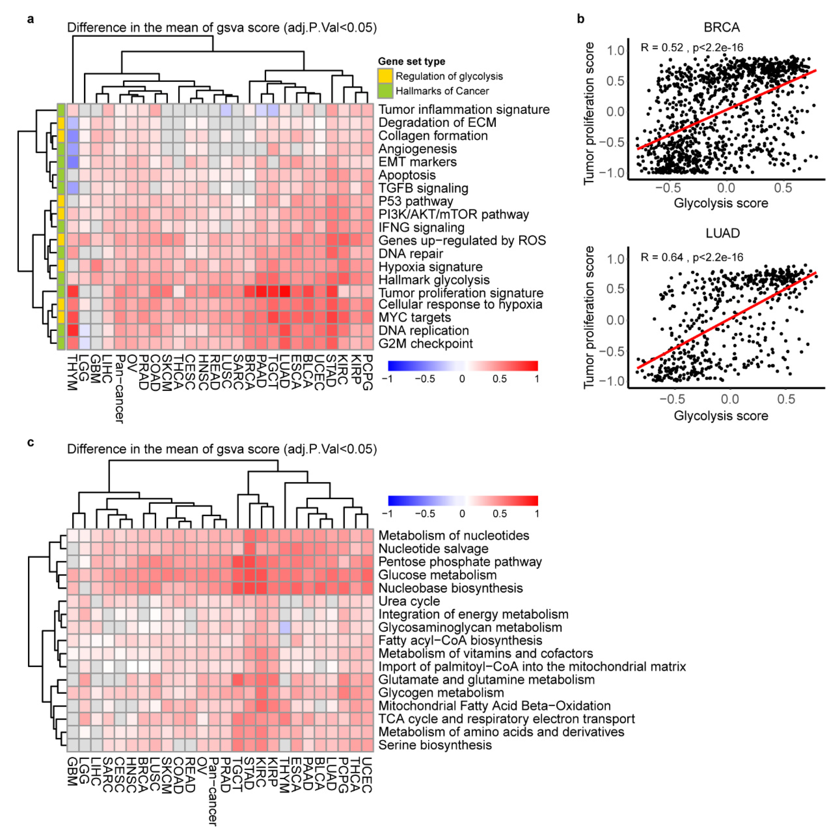 Cancers 12 01788 g003