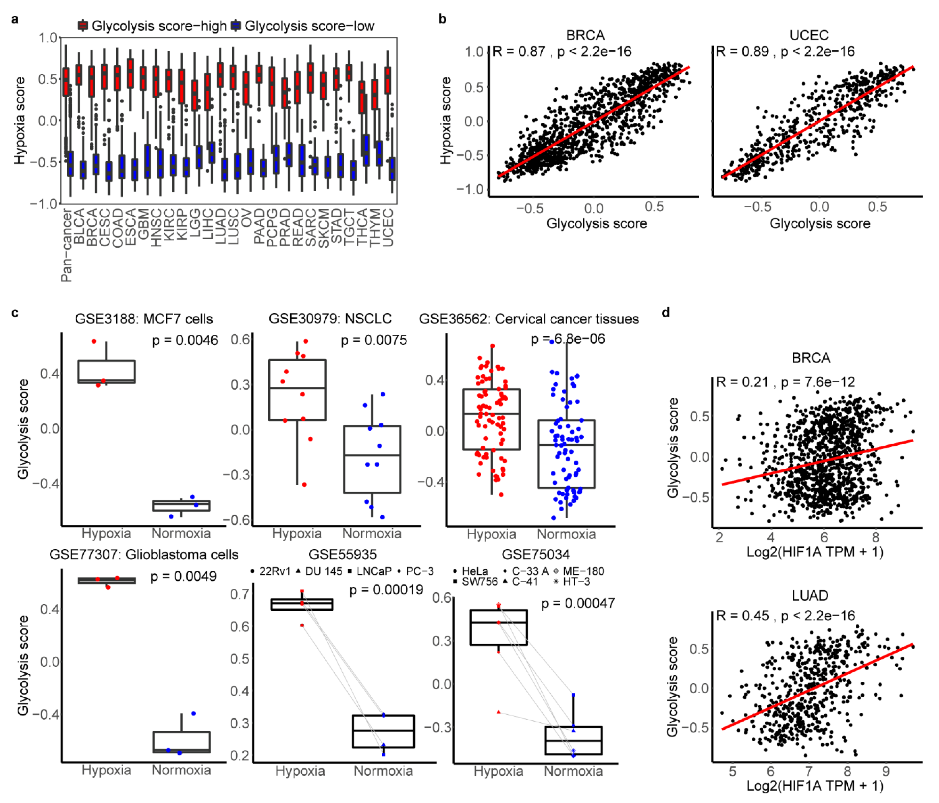 Cancers 12 01788 g004