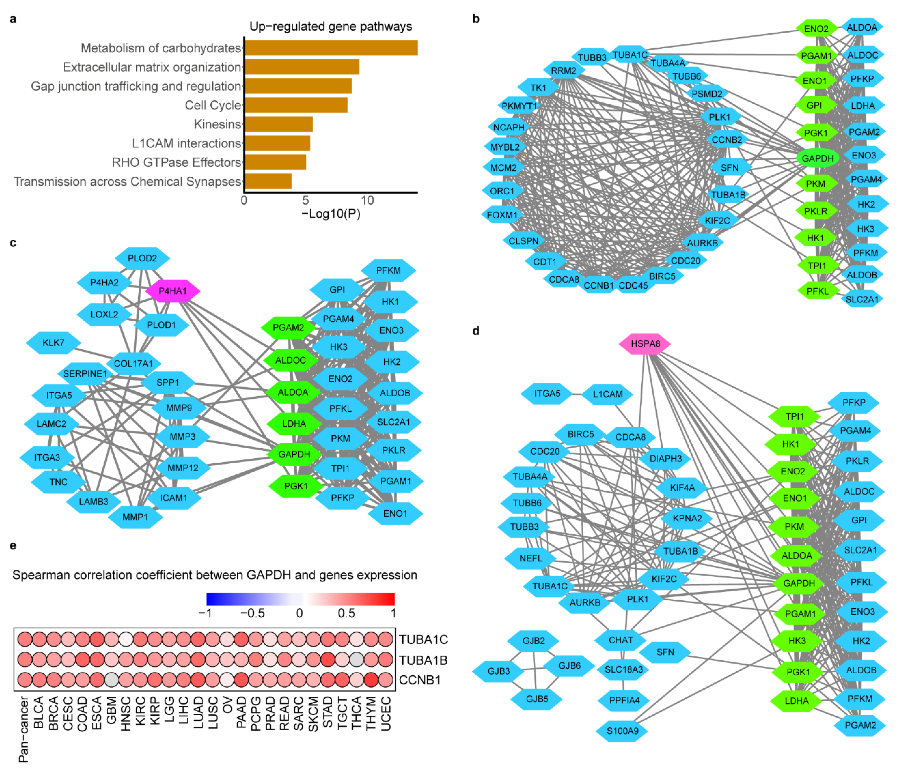 Cancers 12 01788 g005