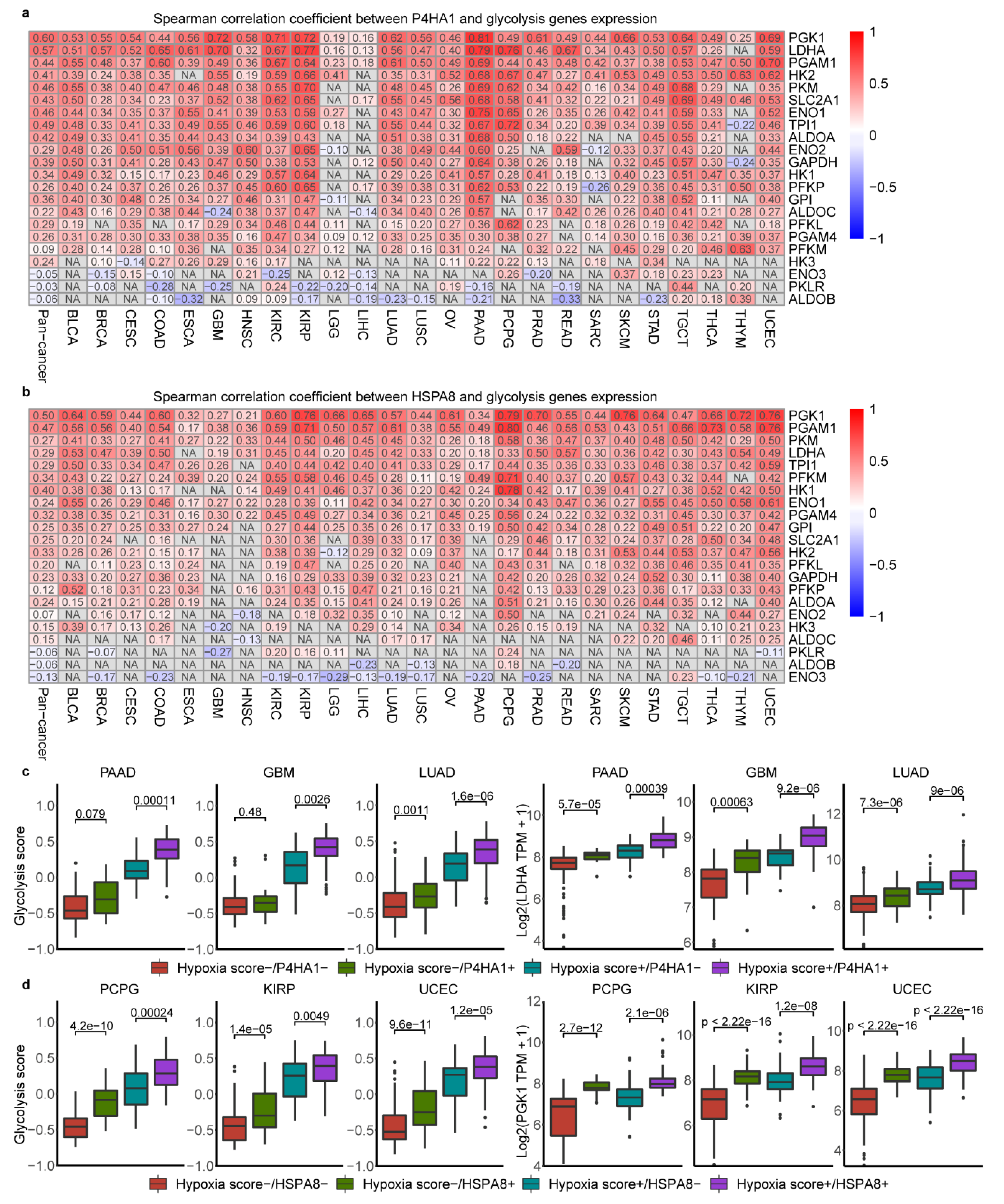 Cancers 12 01788 g006