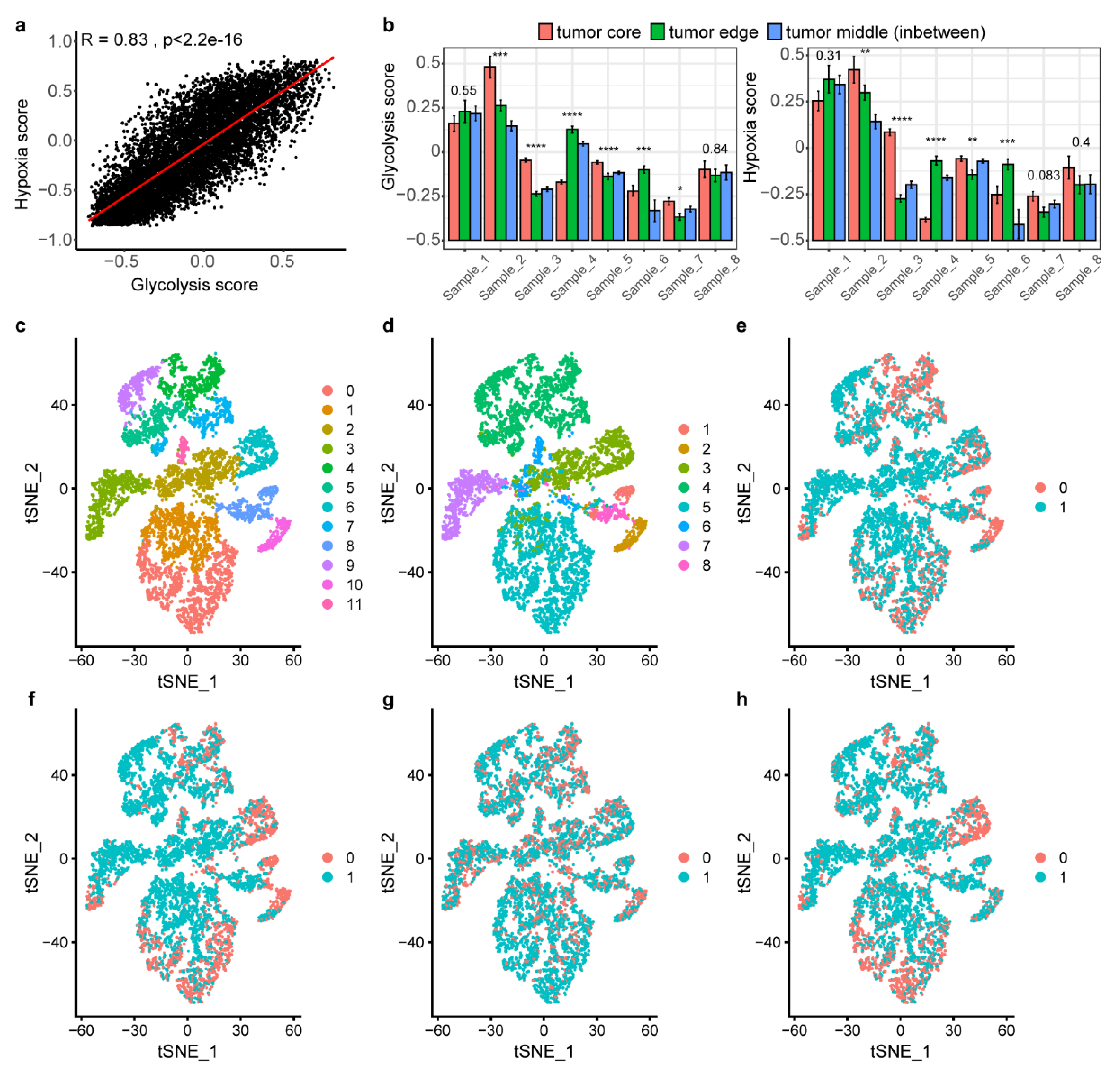 Cancers 12 01788 g007