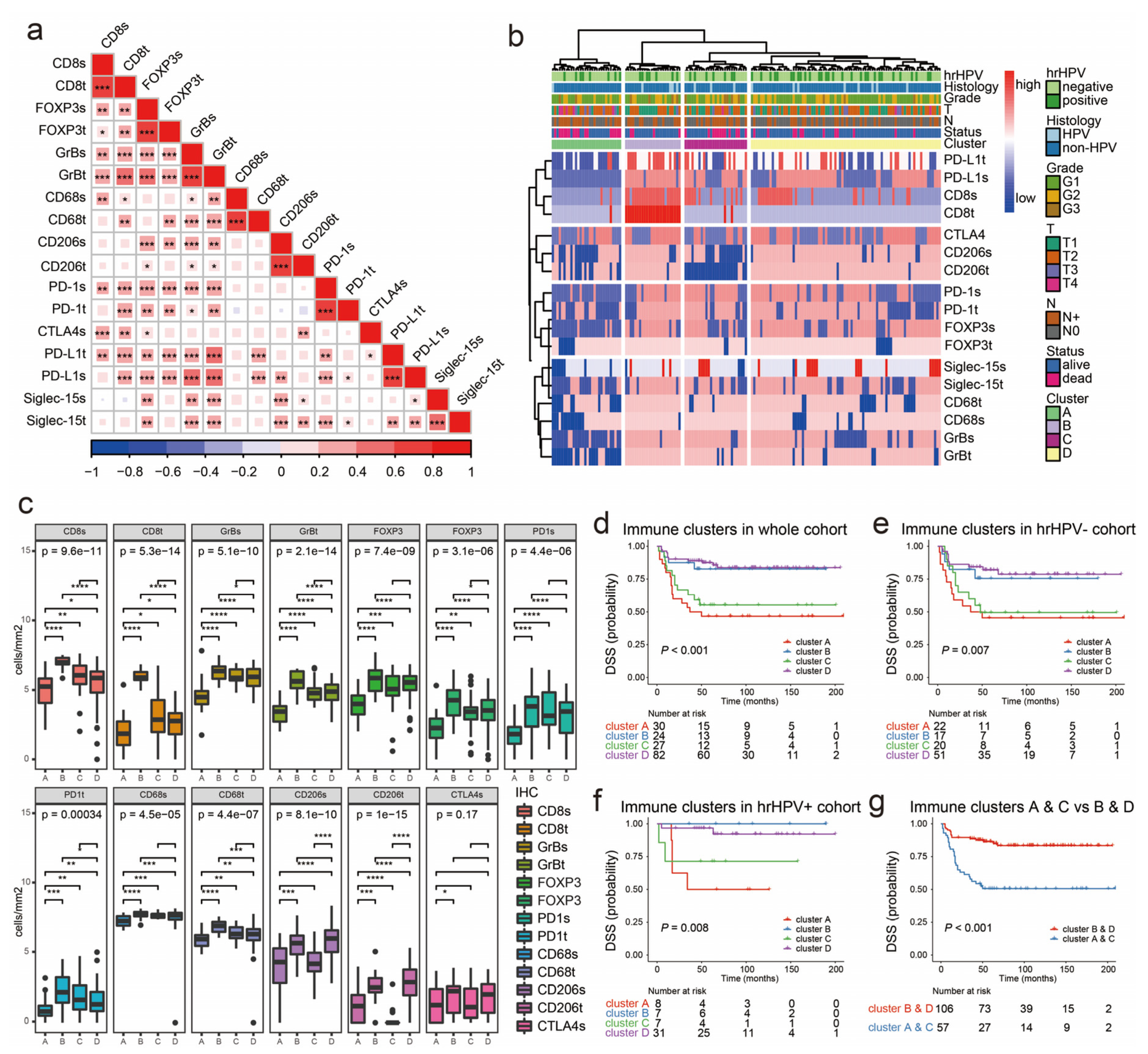 Cancers 12 01796 g004 Cancers 12 01796 g004