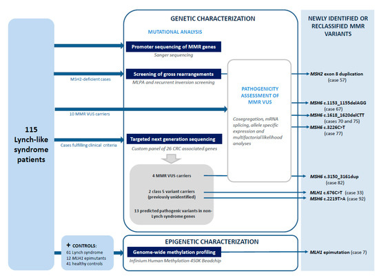 Cancers 12 01799 g0a1
