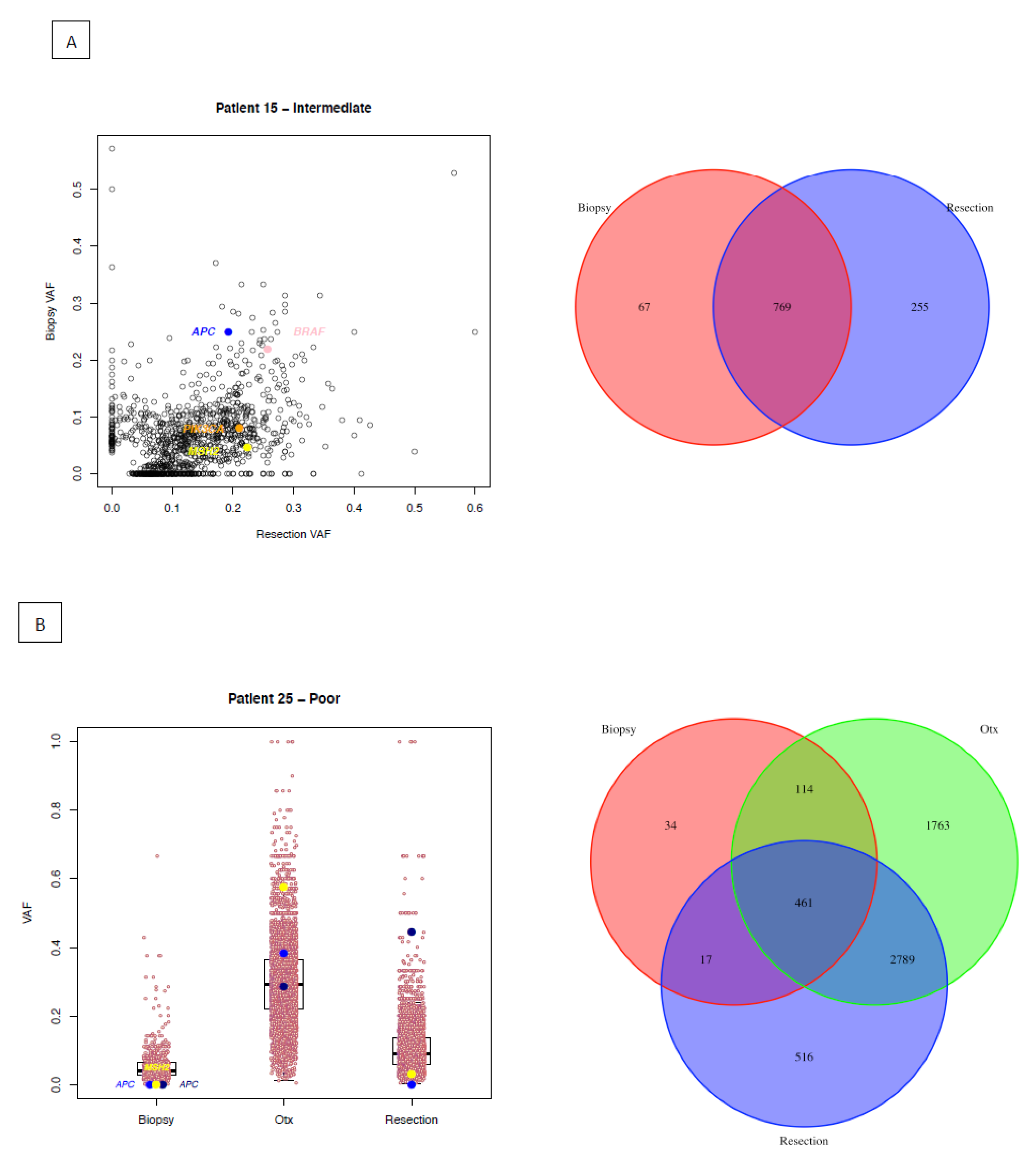 Cancers 12 01808 g003