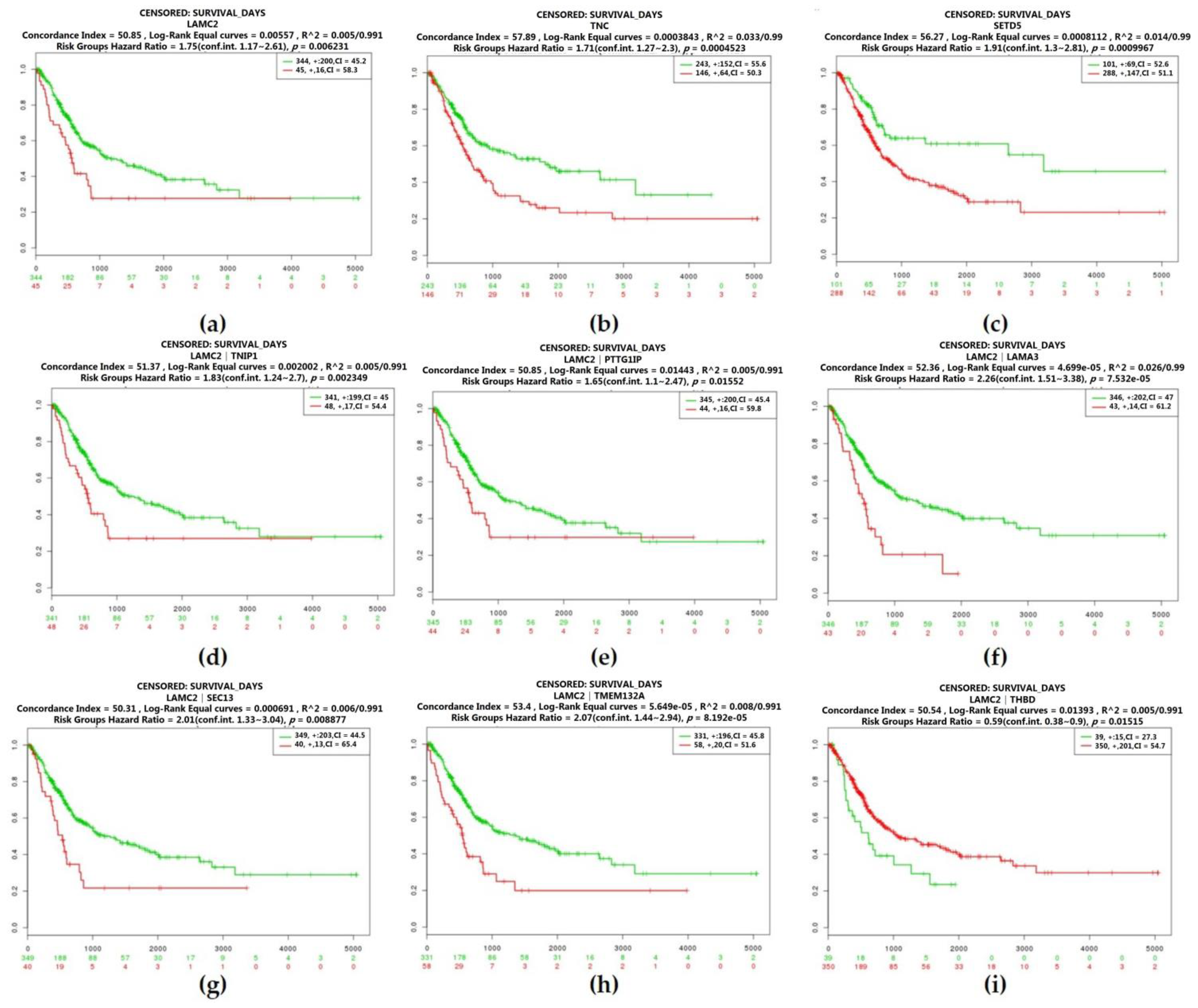 Cancers 12 01809 g007