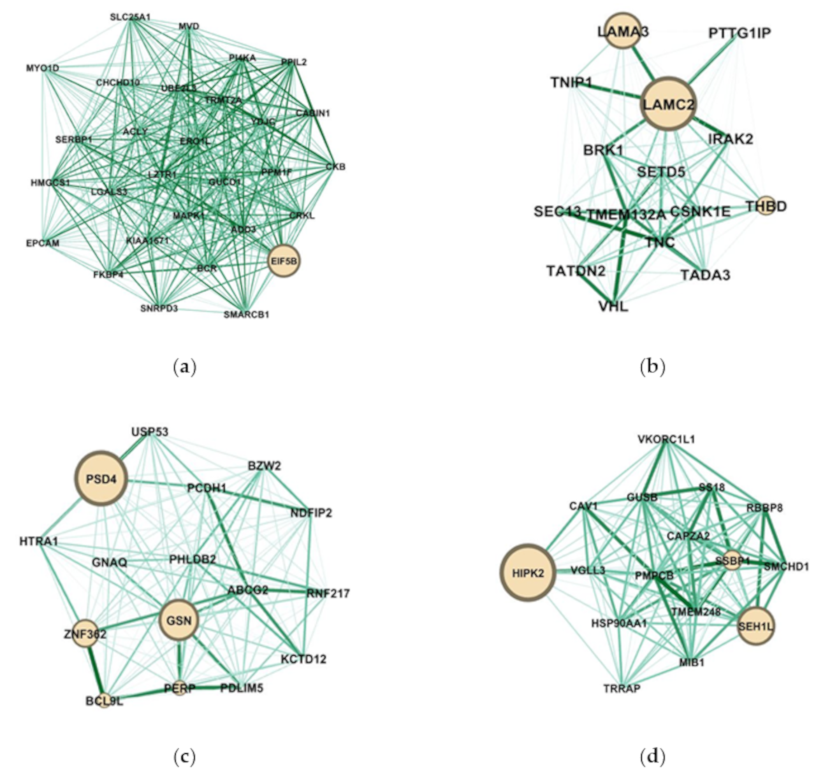 Cancers 12 01809 g009