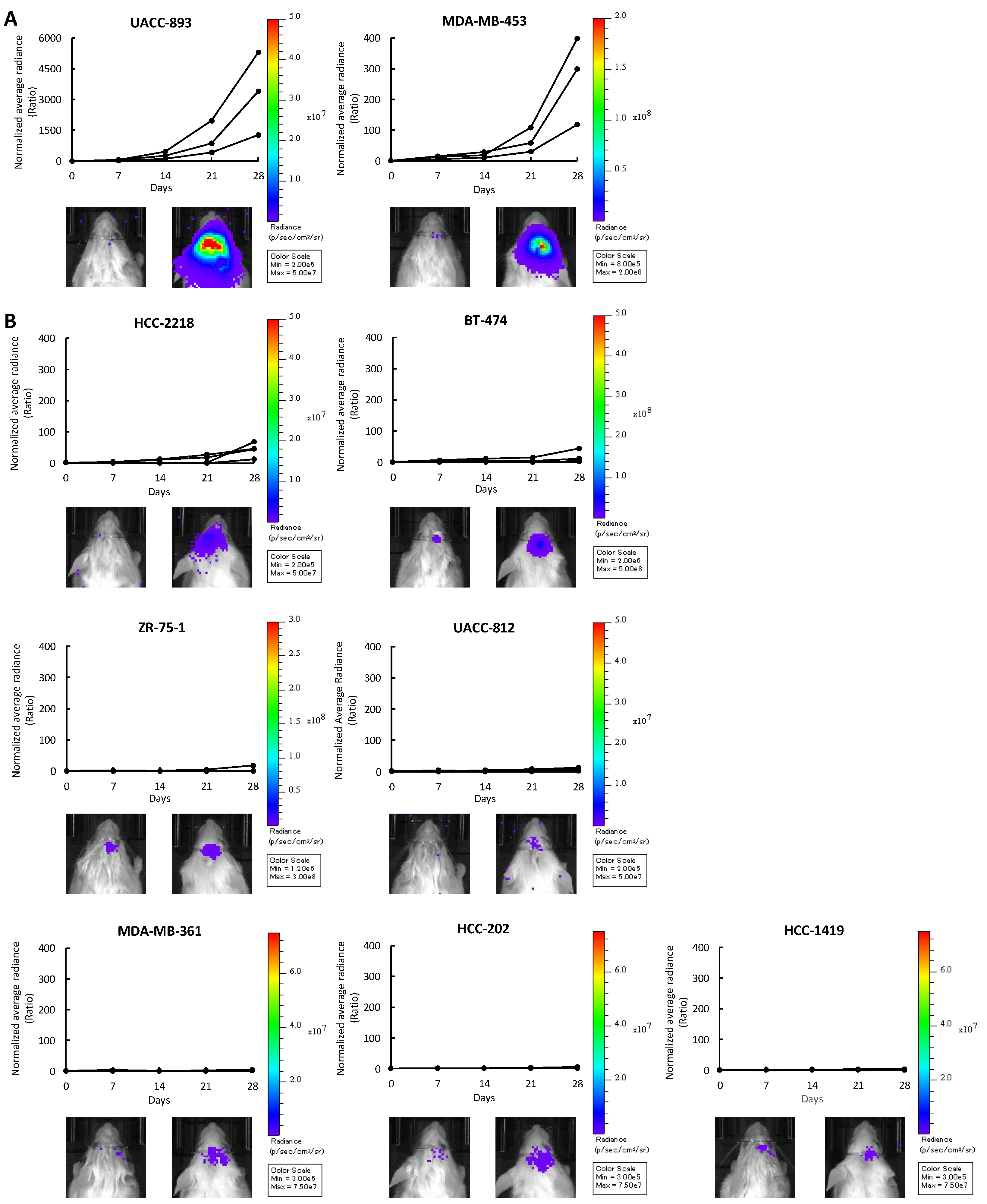 Cancers 12 01811 g001