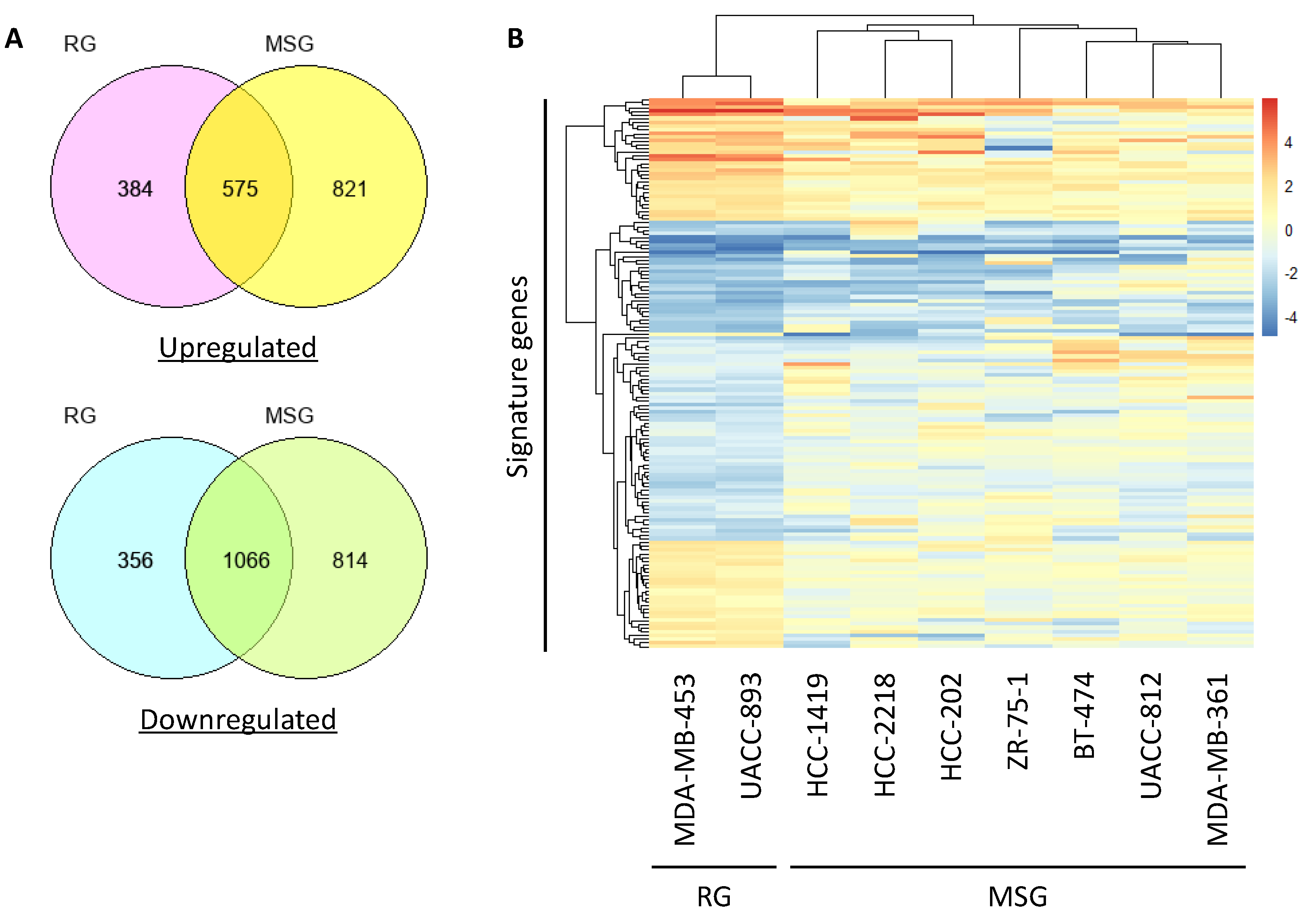 Cancers 12 01811 g004