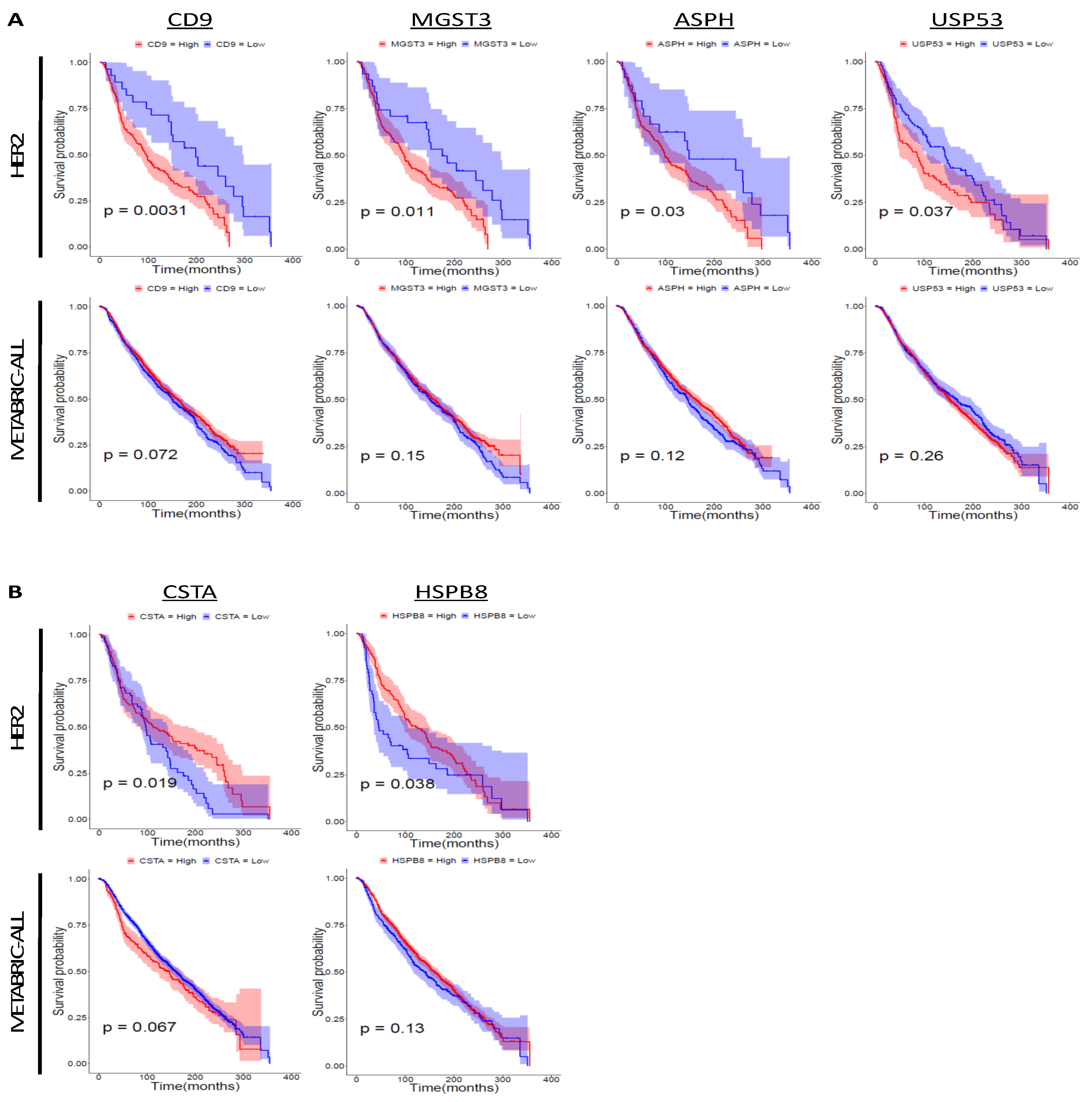 Cancers 12 01811 g005