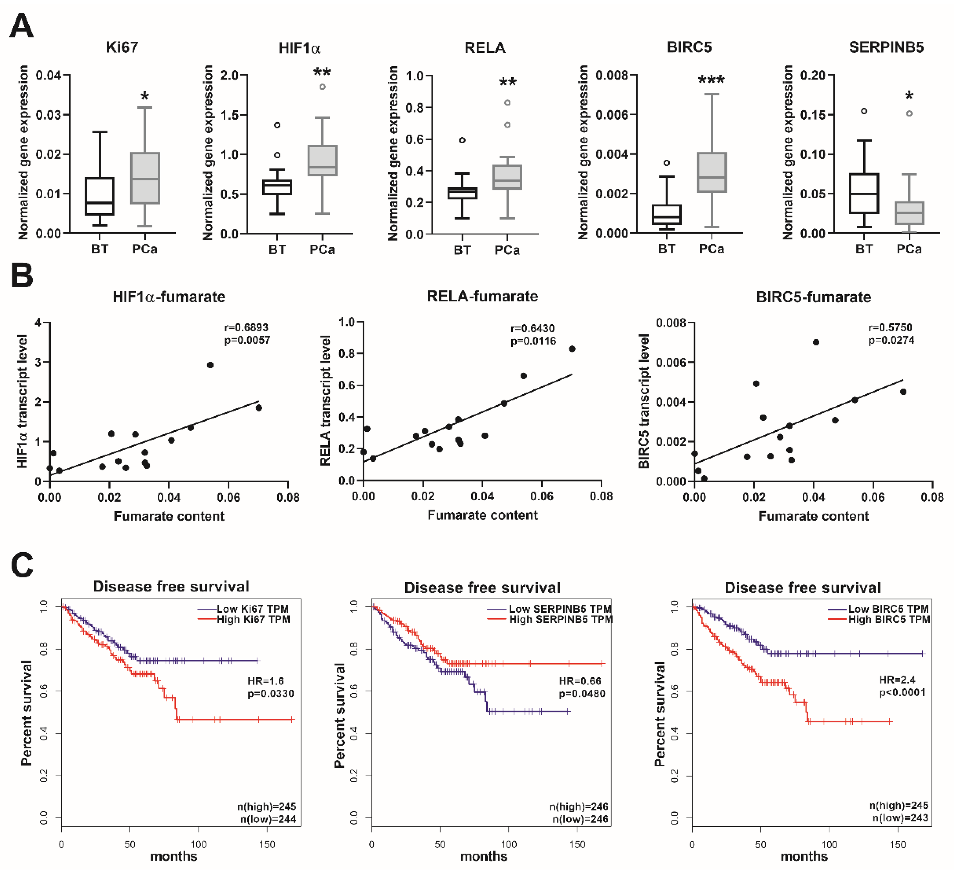 Cancers 12 01814 g005