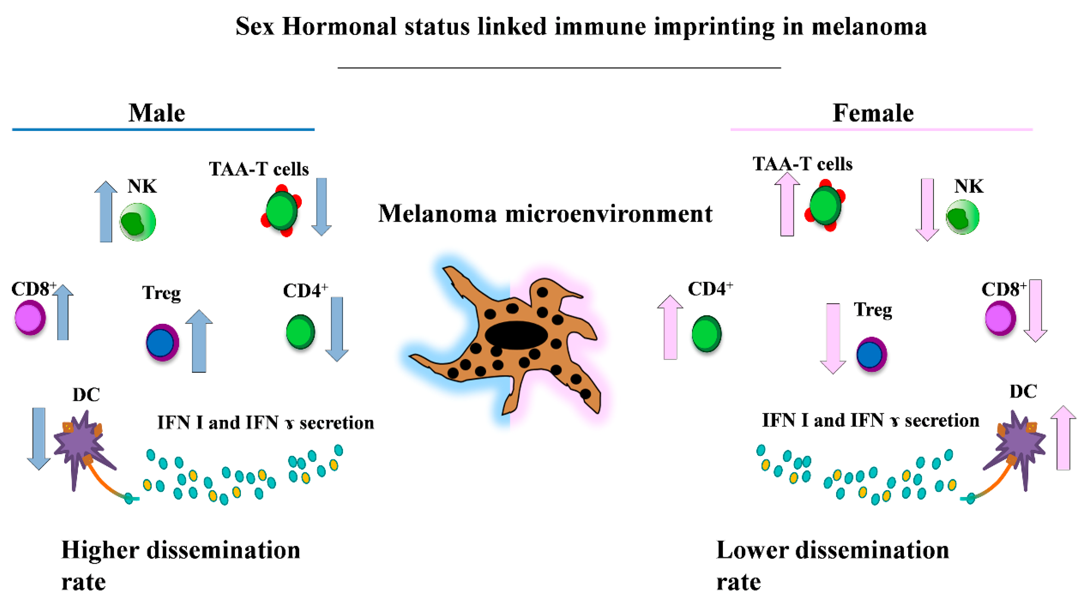 Cancers 12 01819 g002
