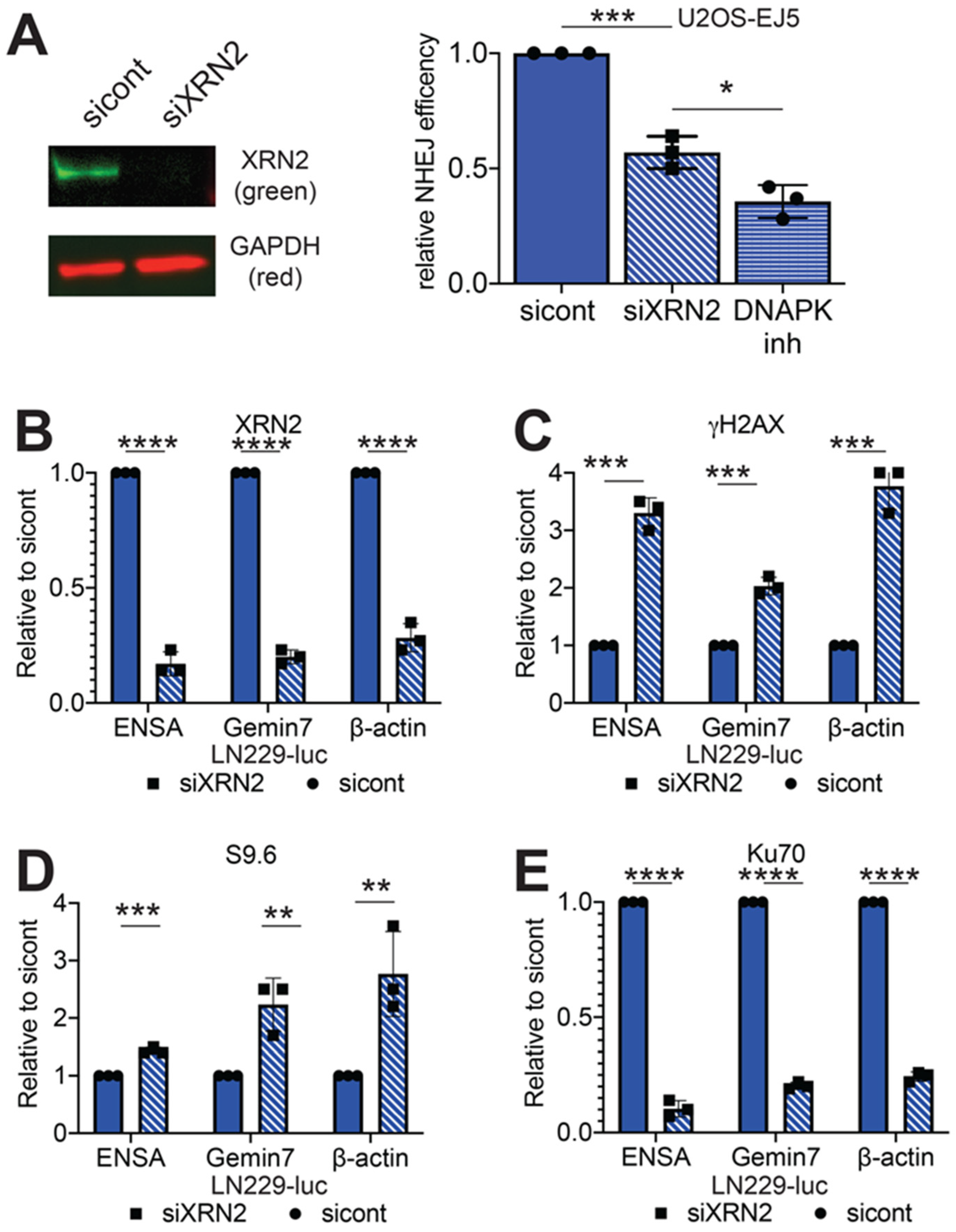 Cancers 12 01821 g001