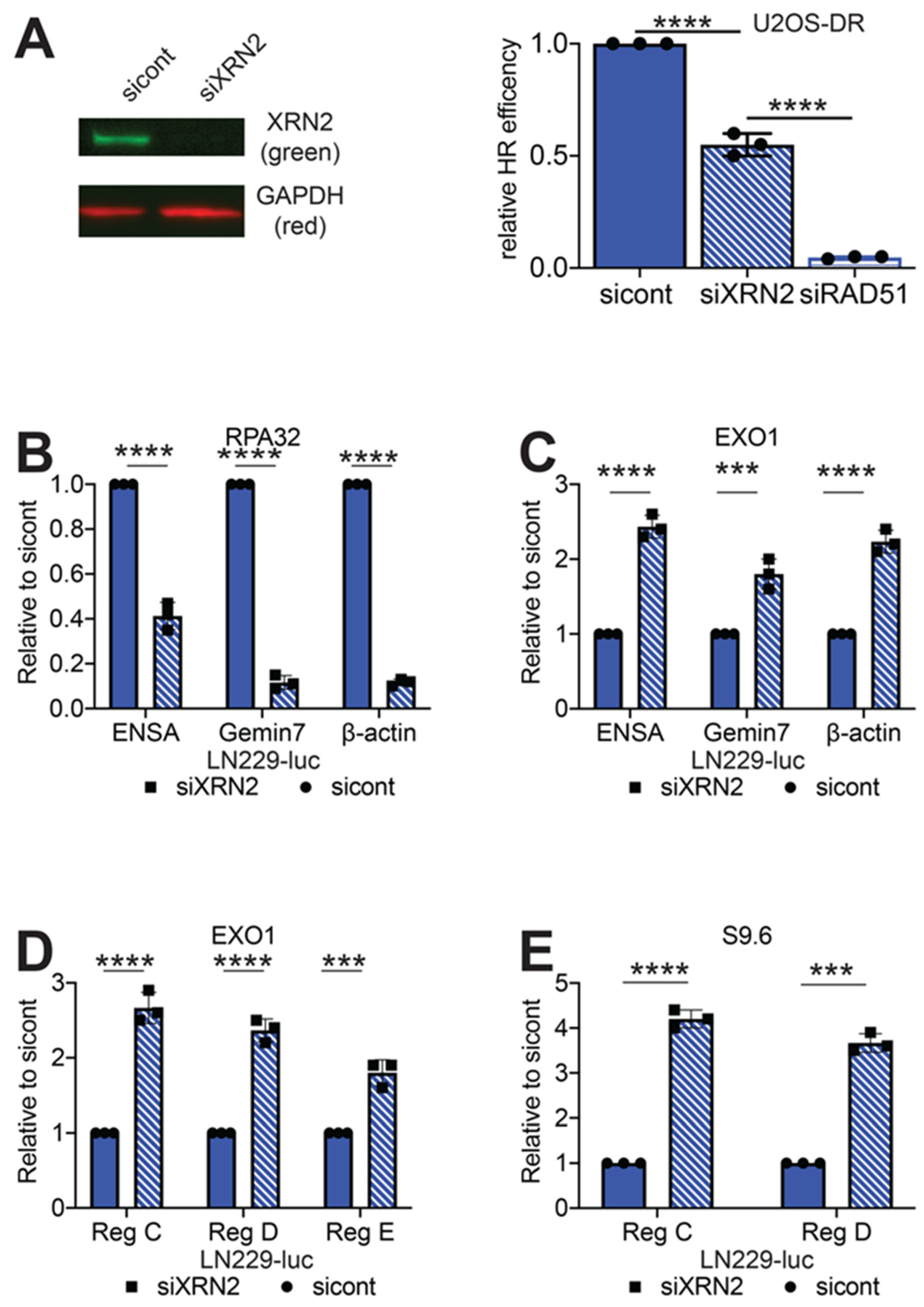 Cancers 12 01821 g002