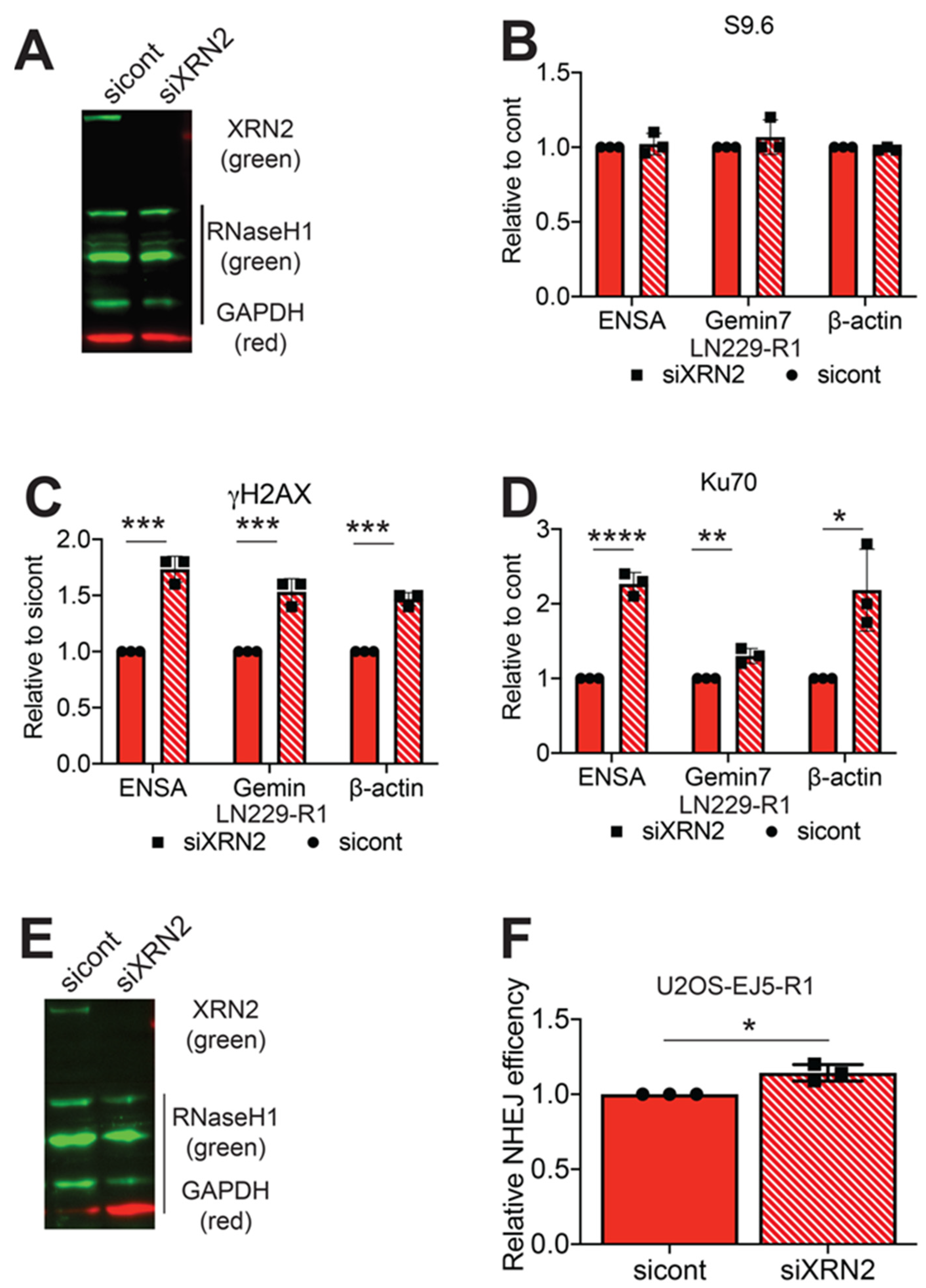 Cancers 12 01821 g004