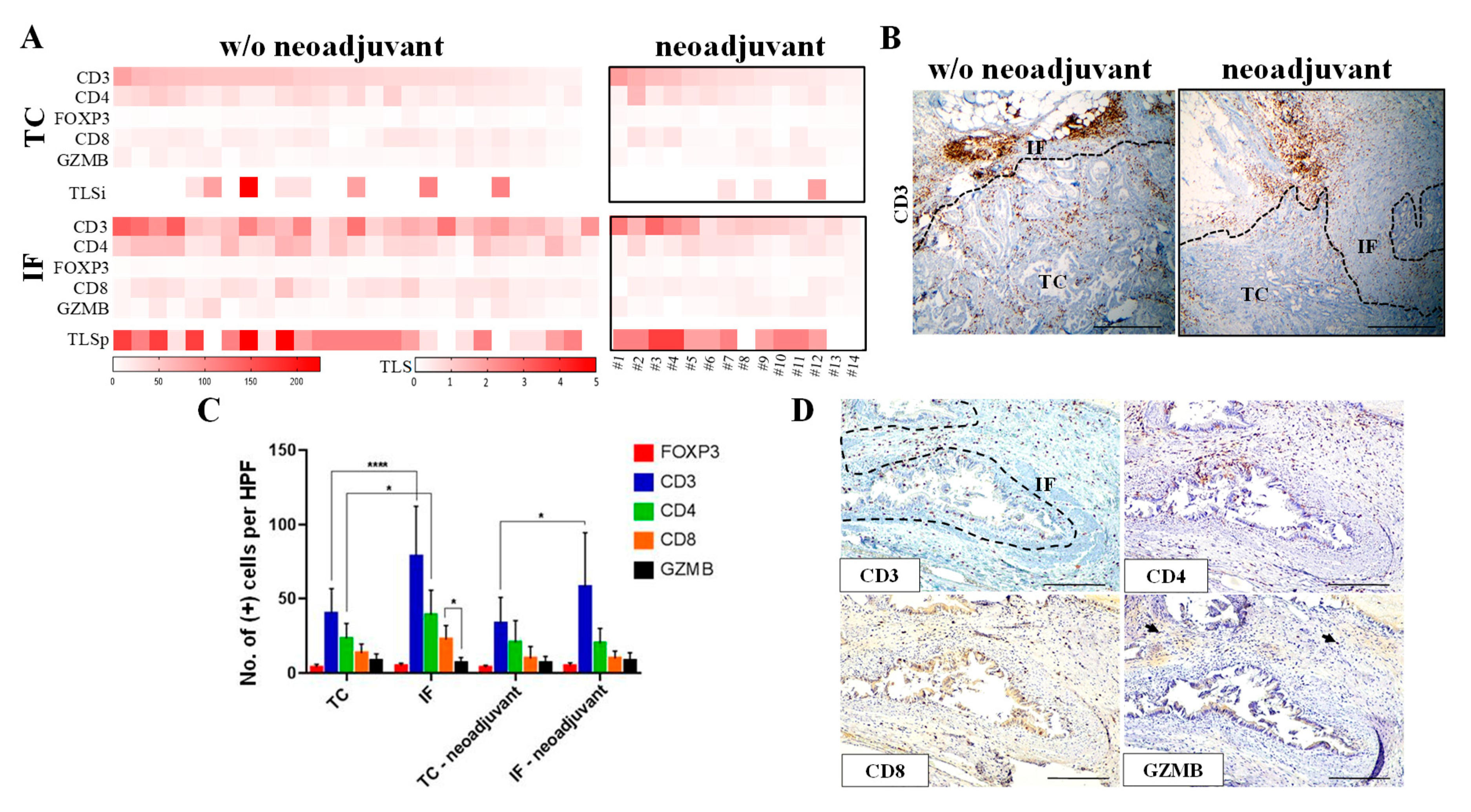 Cancers 12 01825 g001