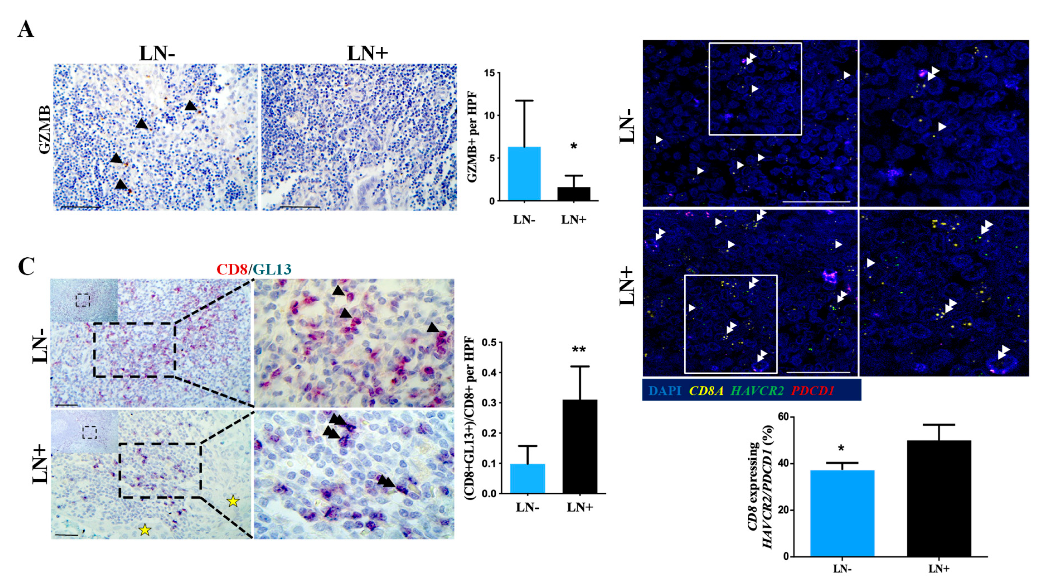Cancers 12 01825 g005