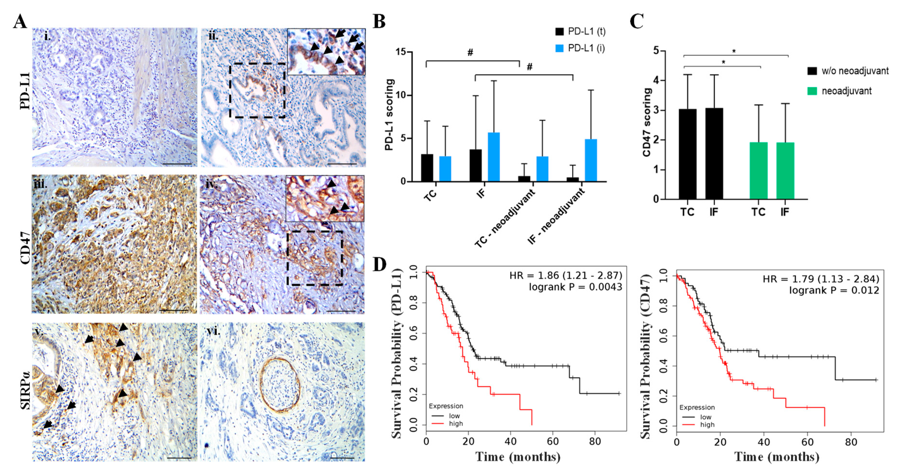 Cancers 12 01825 g006