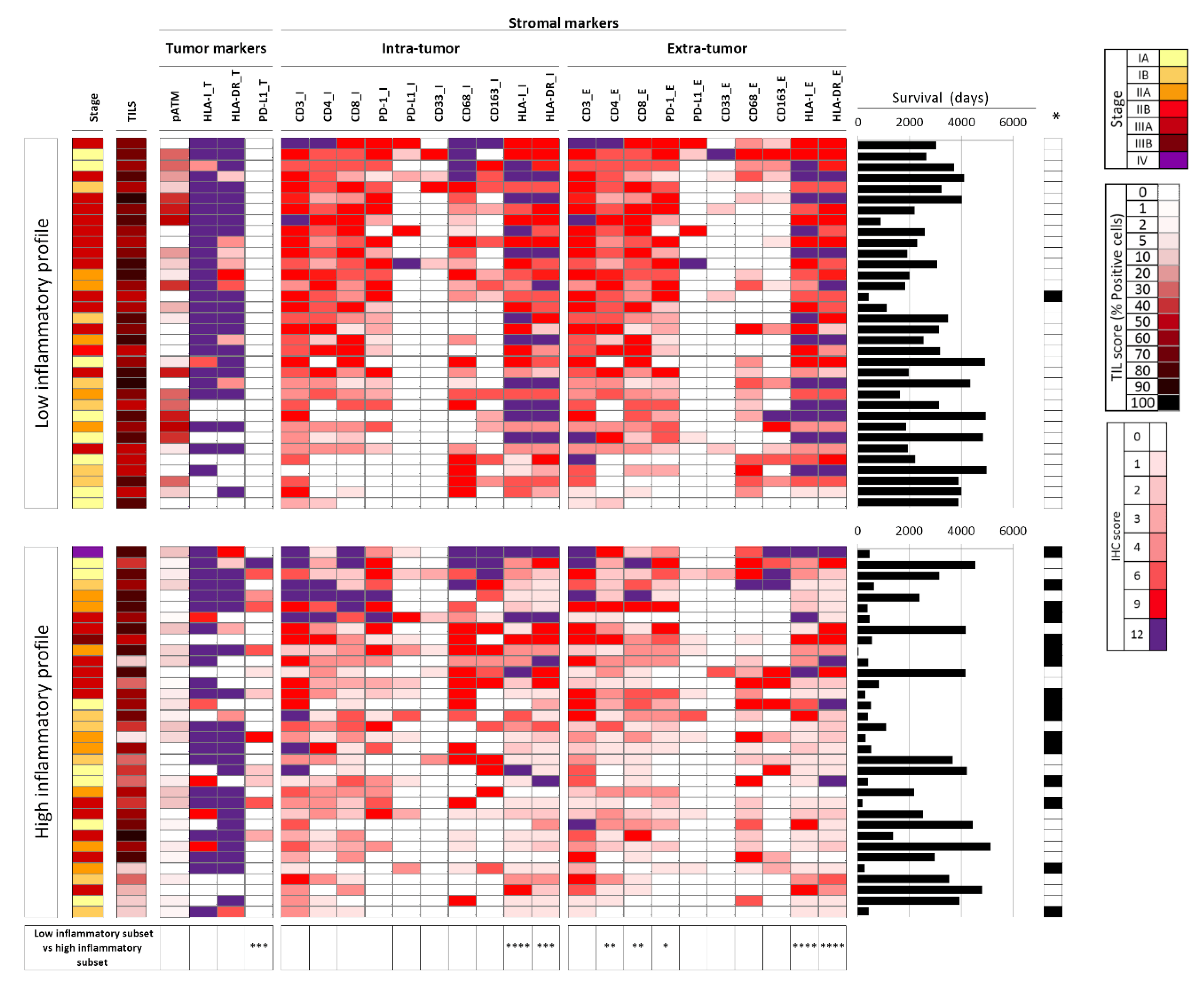 Cancers 12 01828 g001 Cancers 12 01828 g001