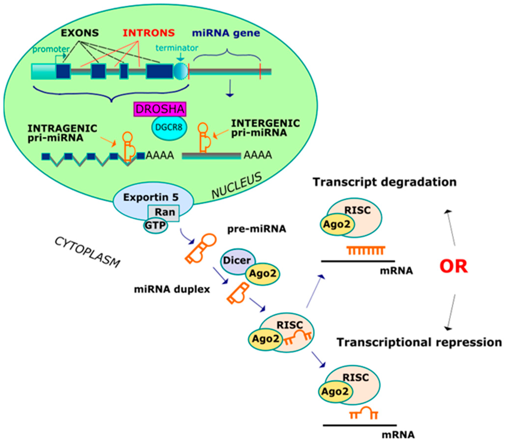 Cancers 12 01838 g001