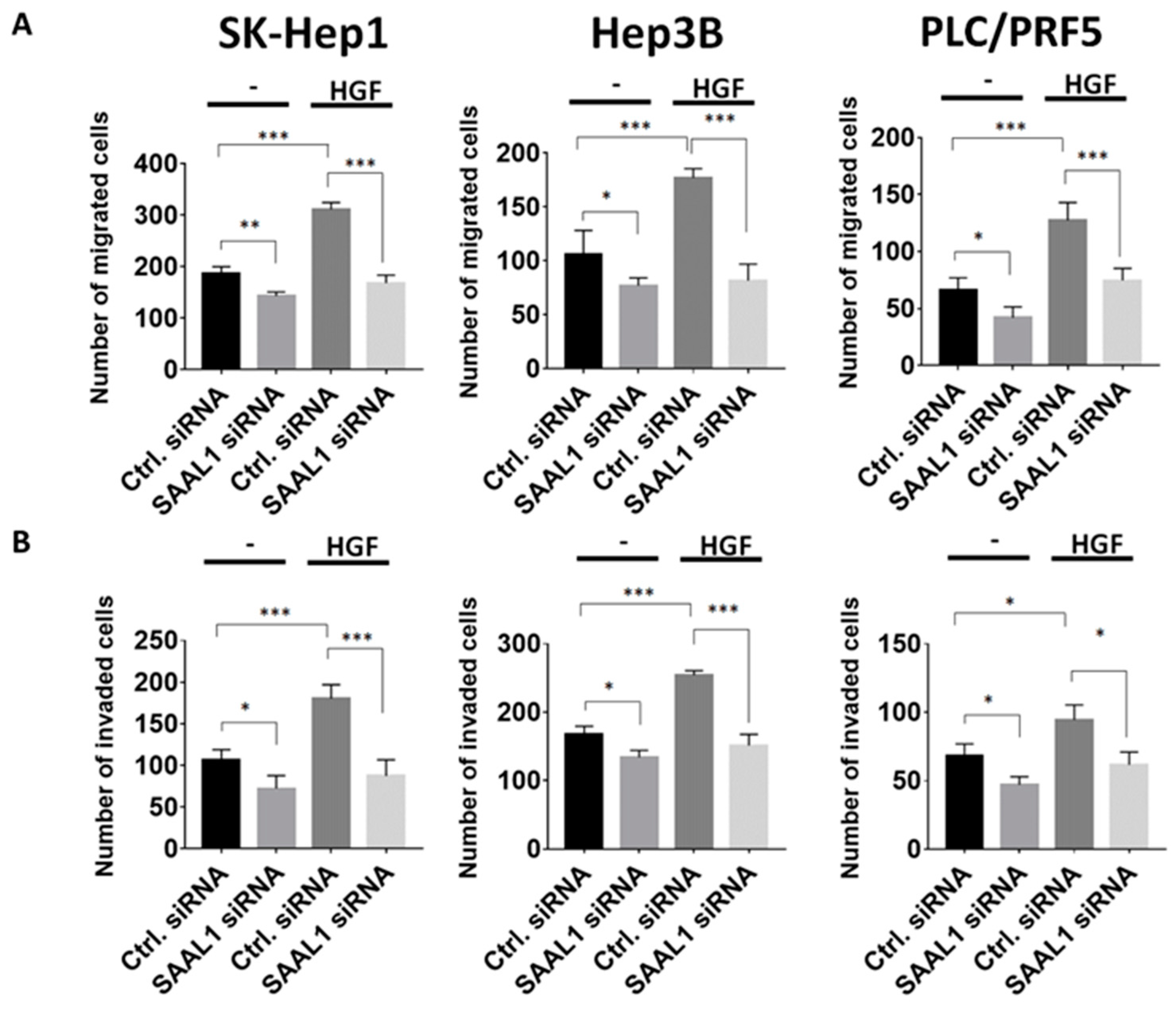 Cancers 12 01843 g003