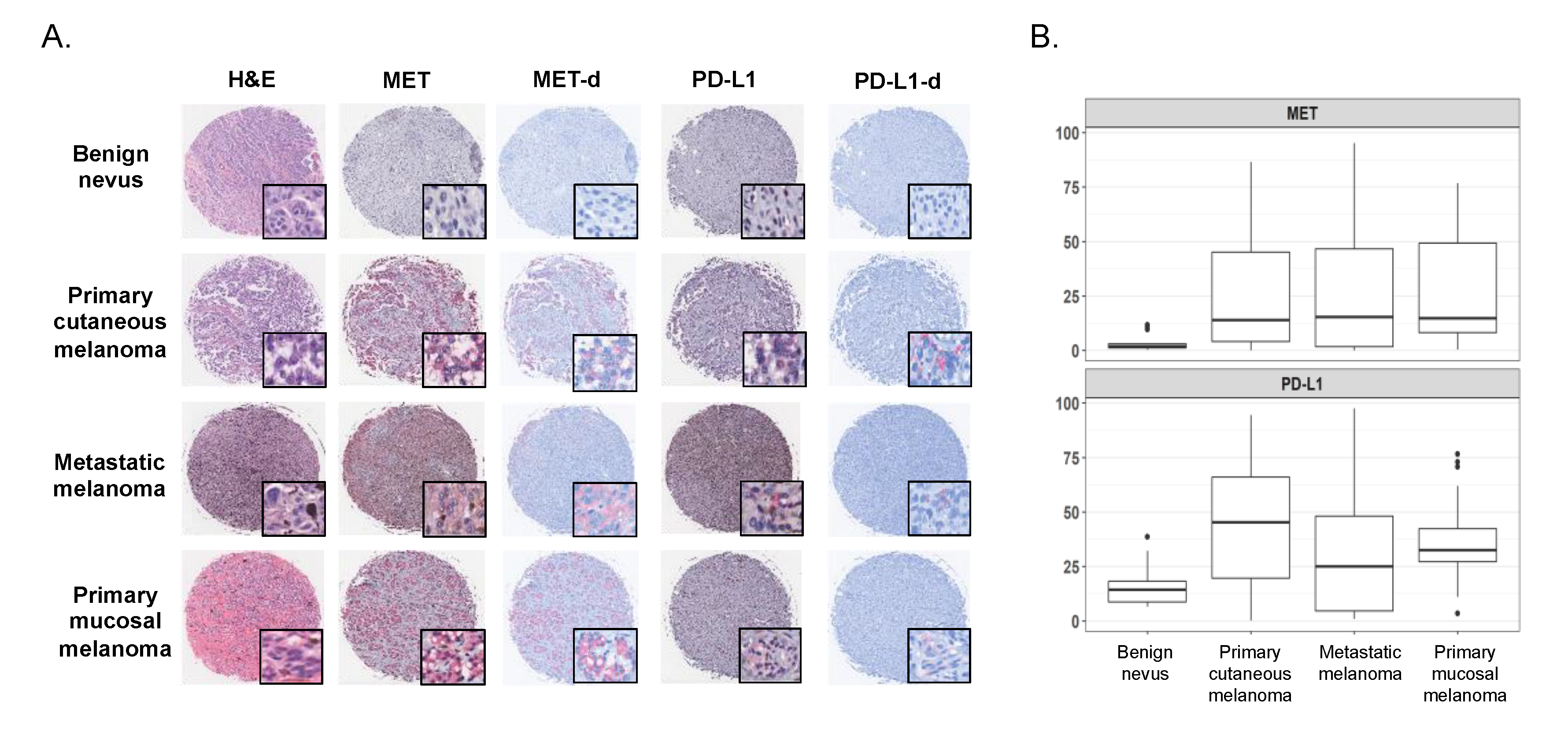 Cancers 12 01847 g002