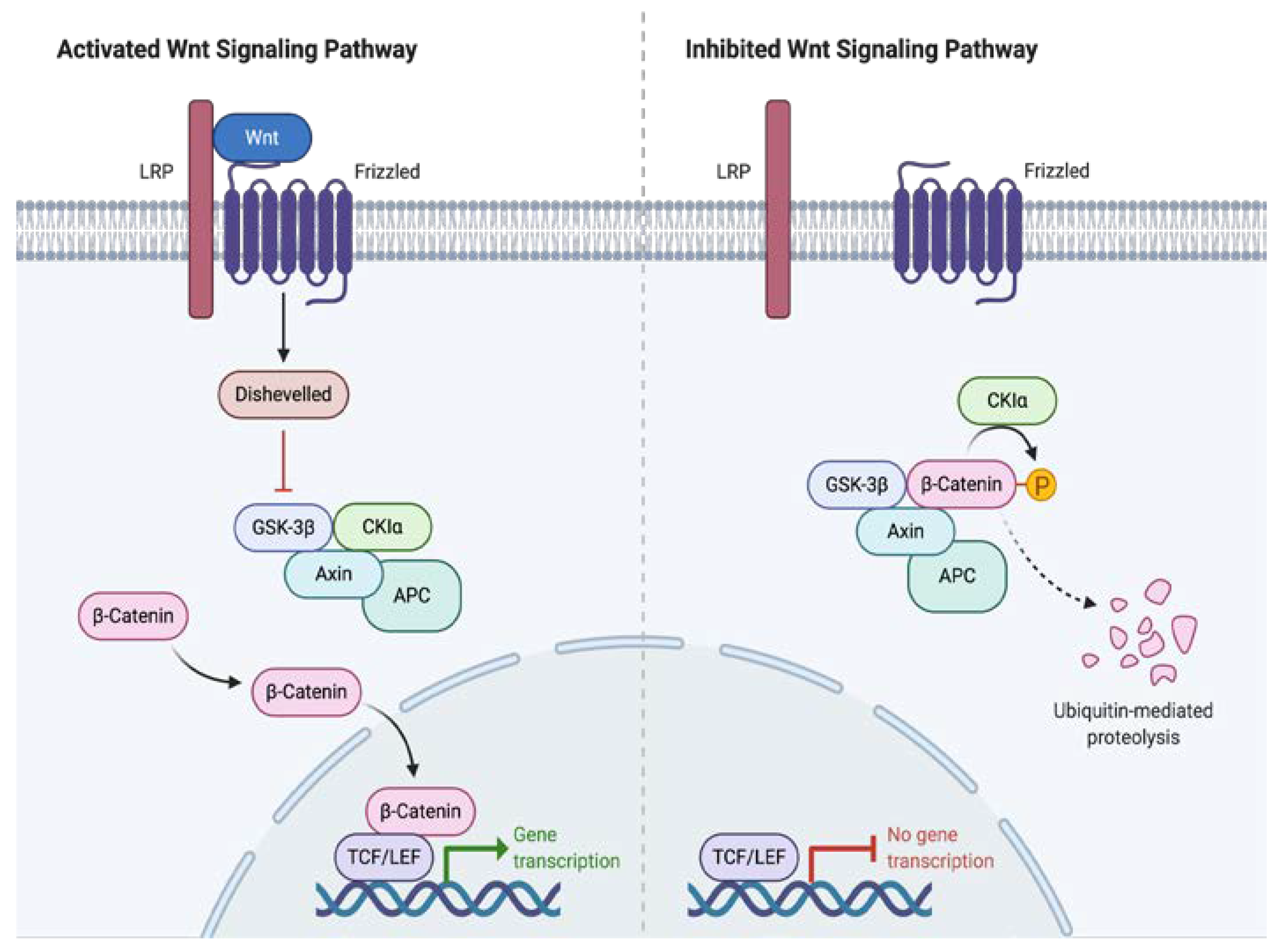 Cancers 12 01851 g001 Cancers 12 01851 g001