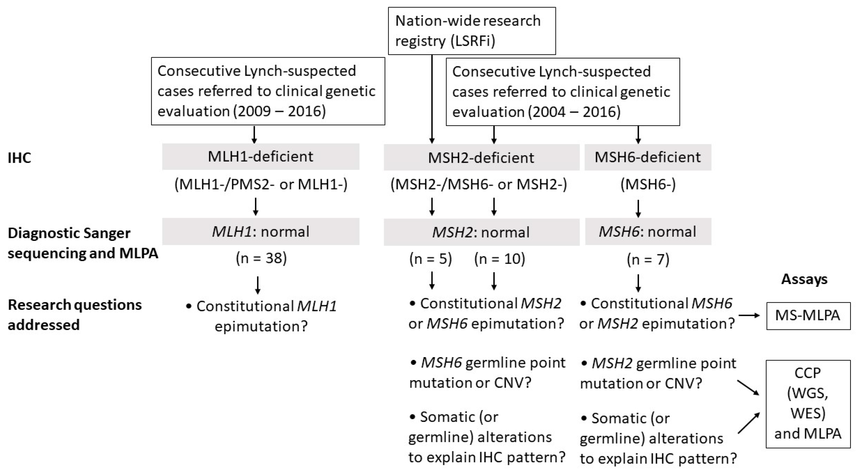 Cancers 12 01853 g001 Cancers 12 01853 g001
