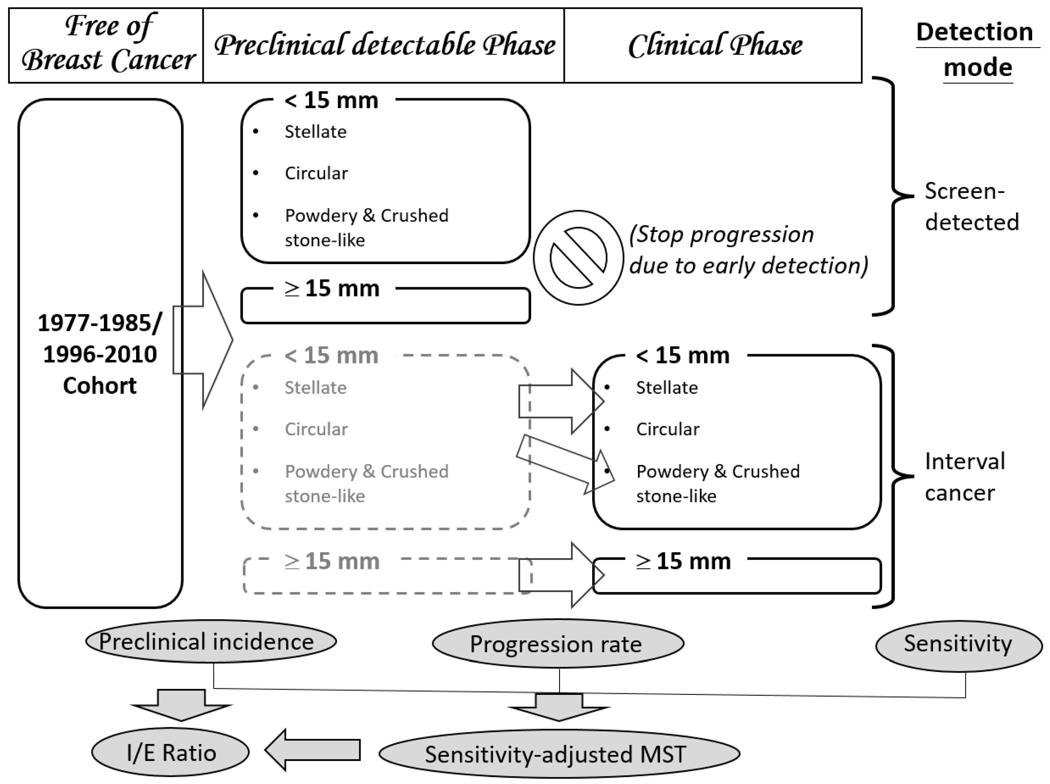Cancers 12 01855 g005 Cancers 12 01855 g005