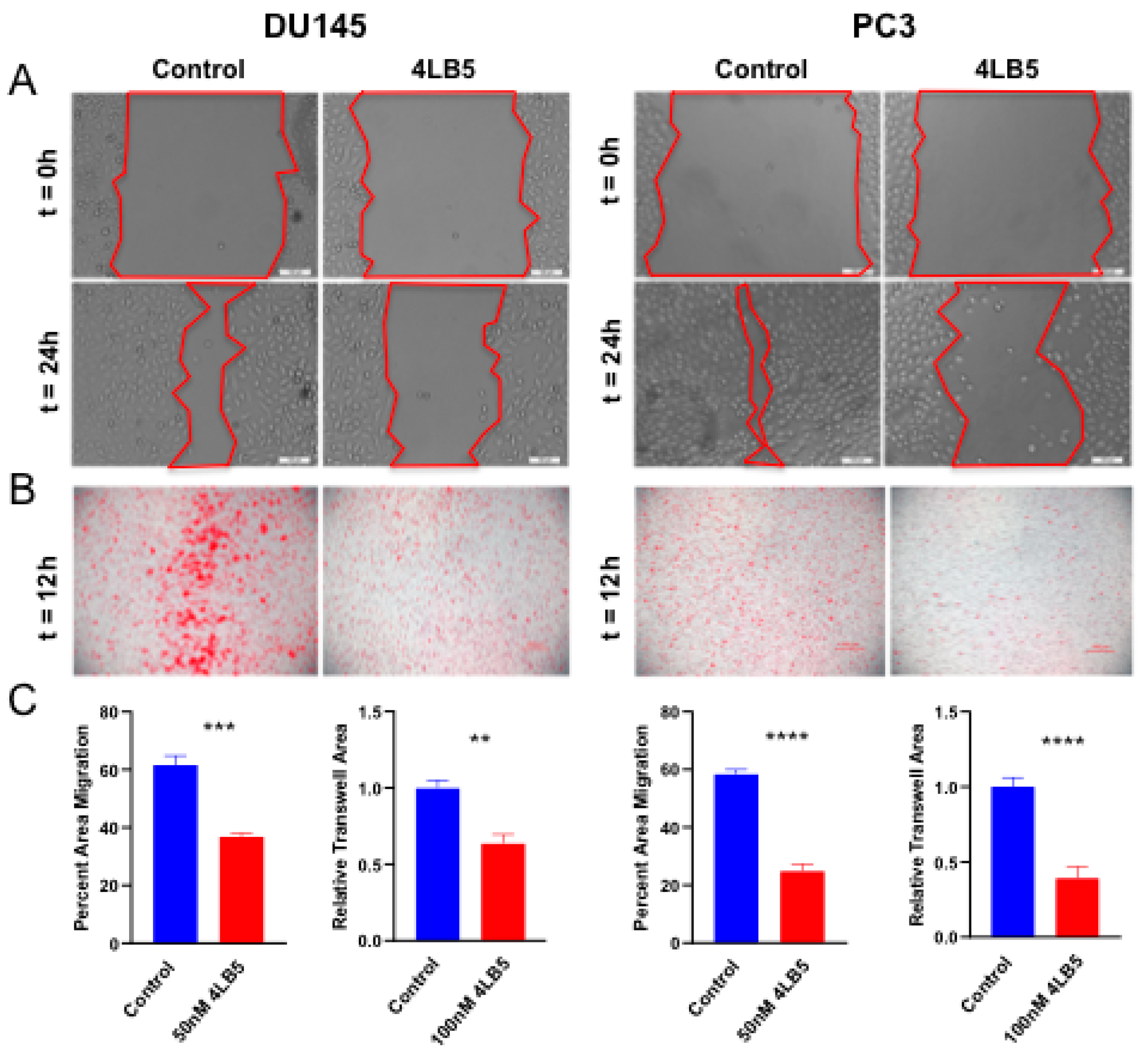 Cancers 12 01861 g004