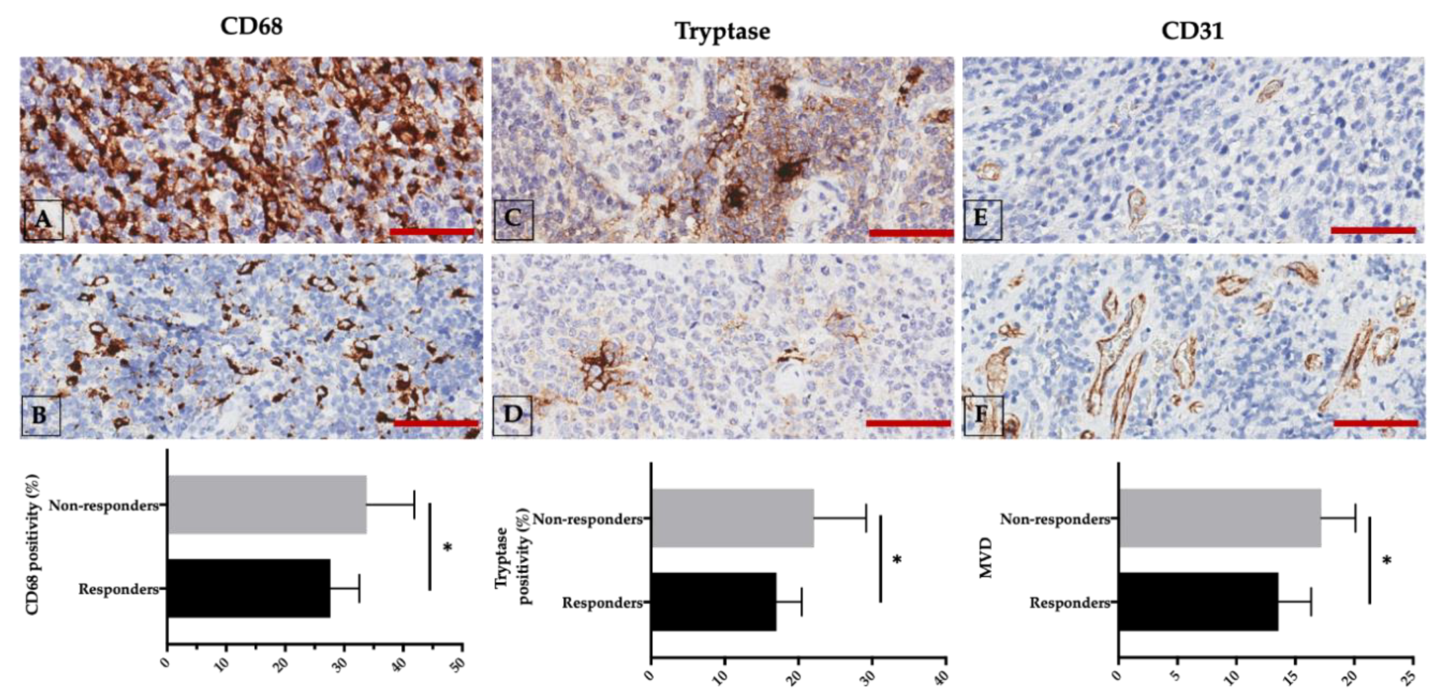 Cancers 12 01869 g001 Cancers 12 01869 g001