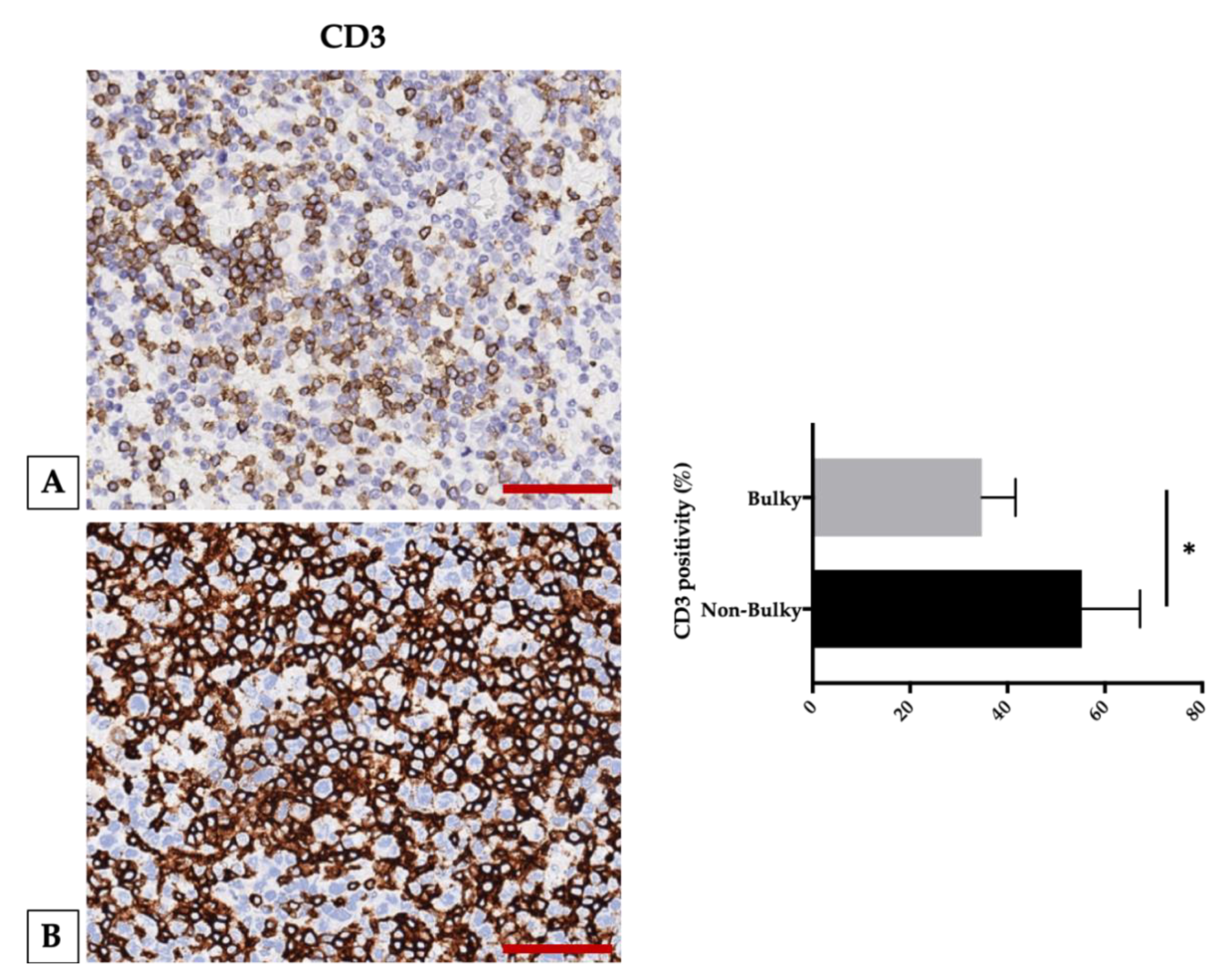 Cancers 12 01869 g002 Cancers 12 01869 g002