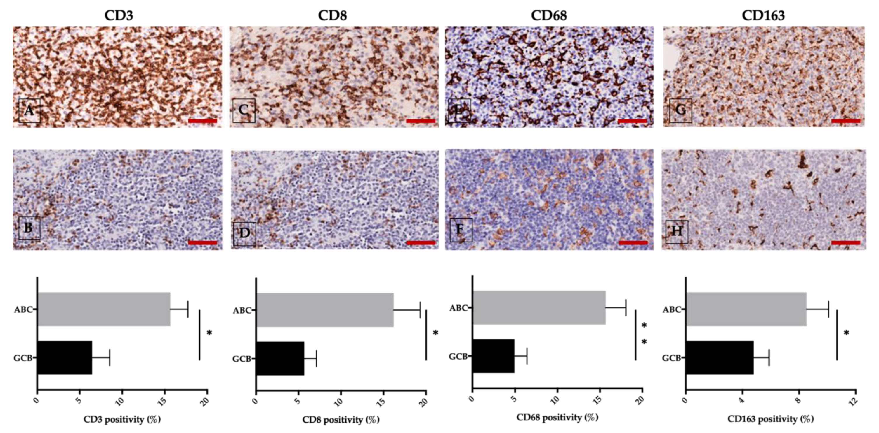 Cancers 12 01869 g004 Cancers 12 01869 g004