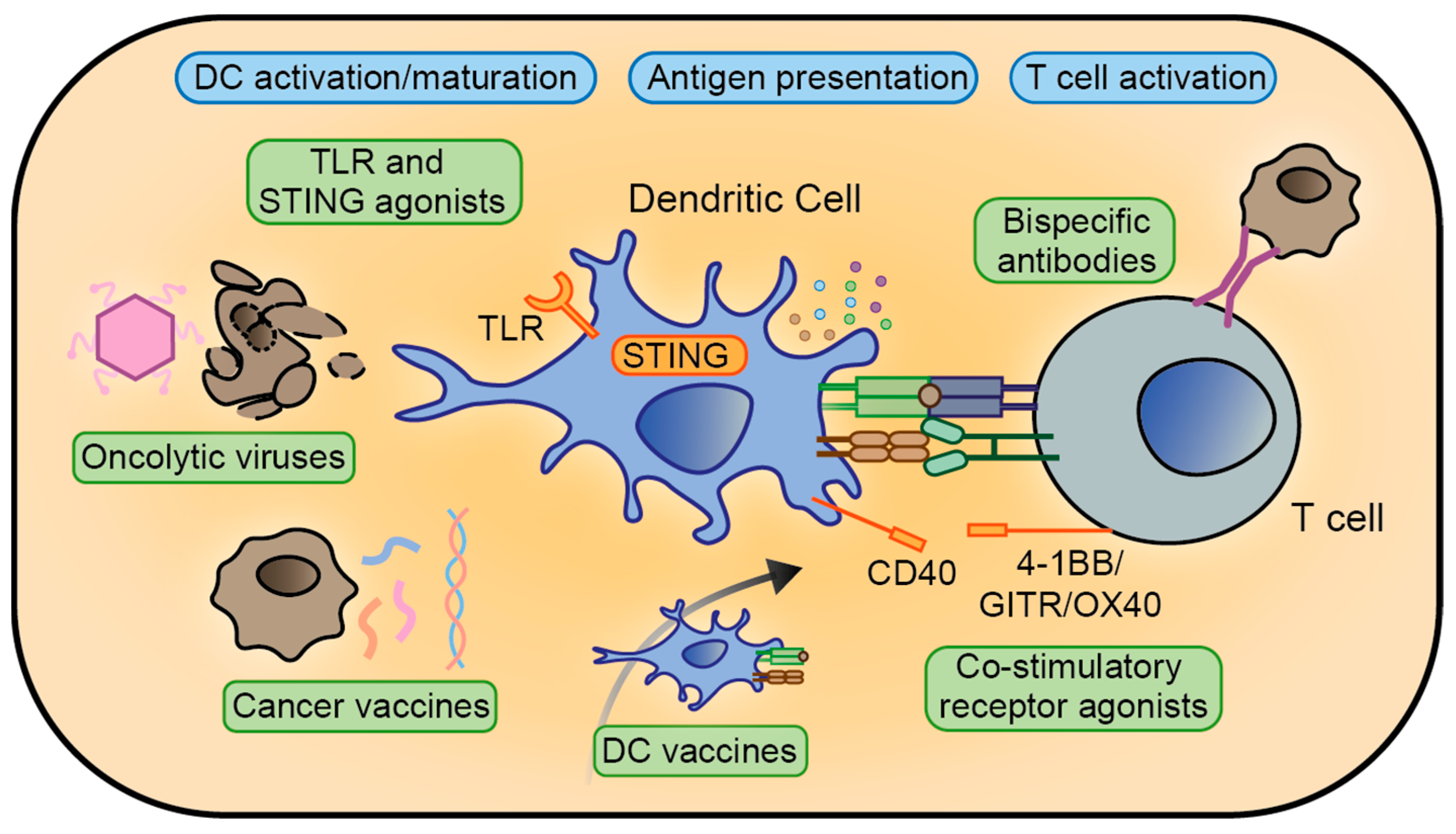 Cancers 12 01875 g001 Cancers 12 01875 g001