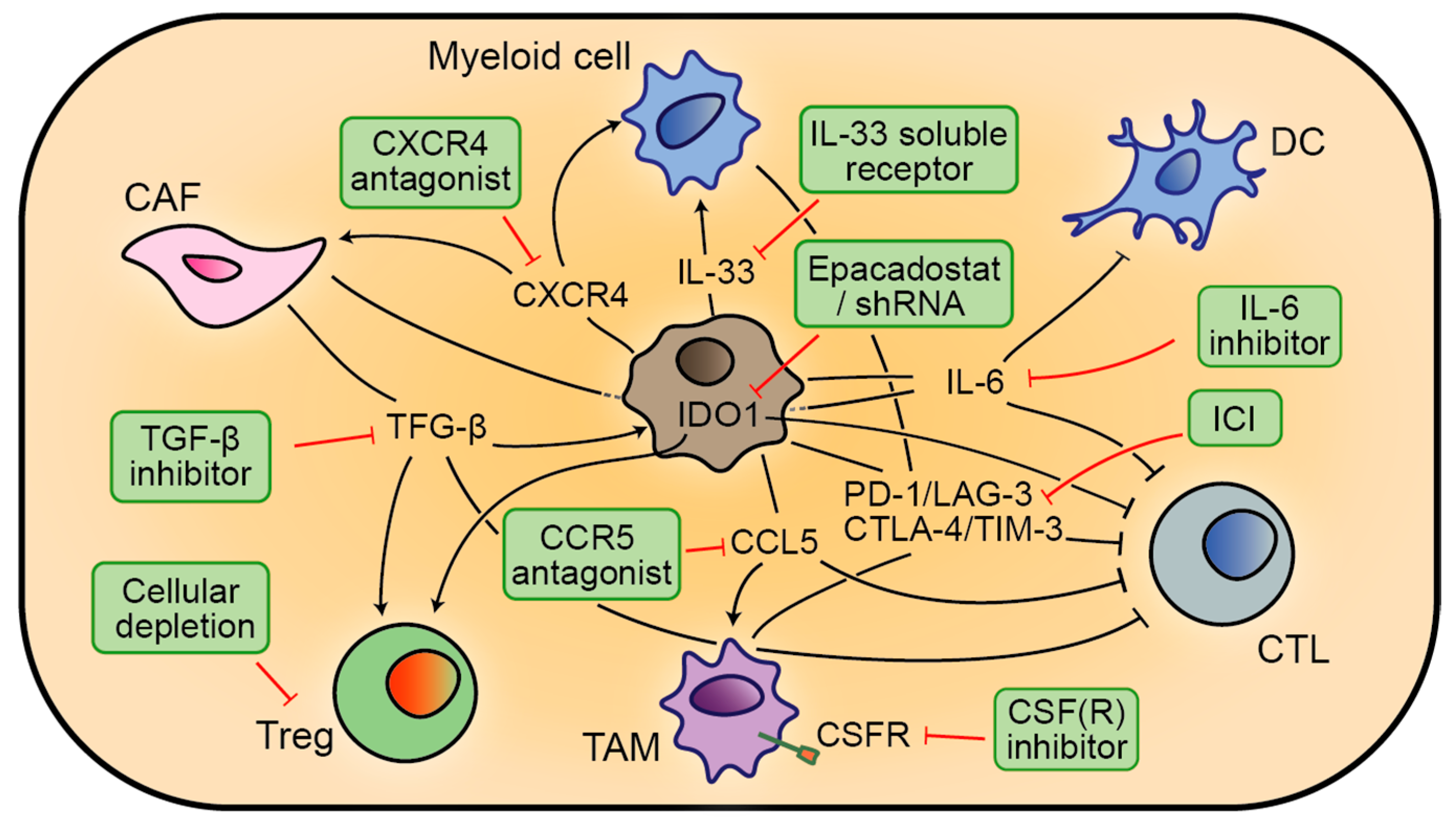 Cancers 12 01875 g003 Cancers 12 01875 g003