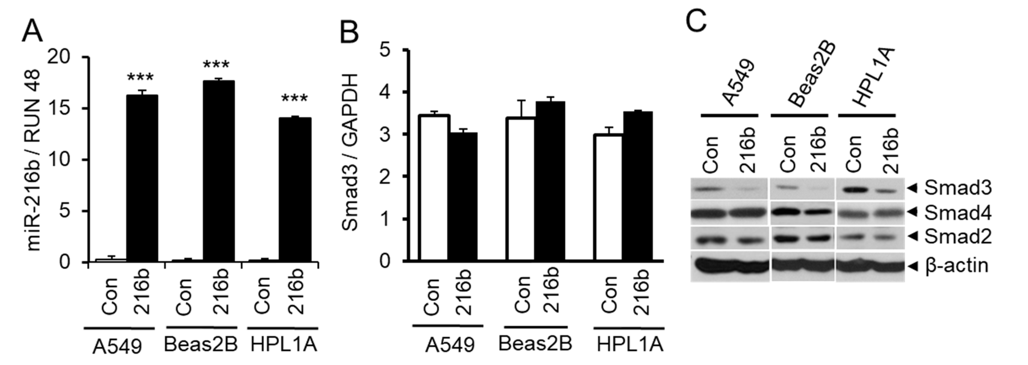 Cancers 12 01879 g003 Cancers 12 01879 g003
