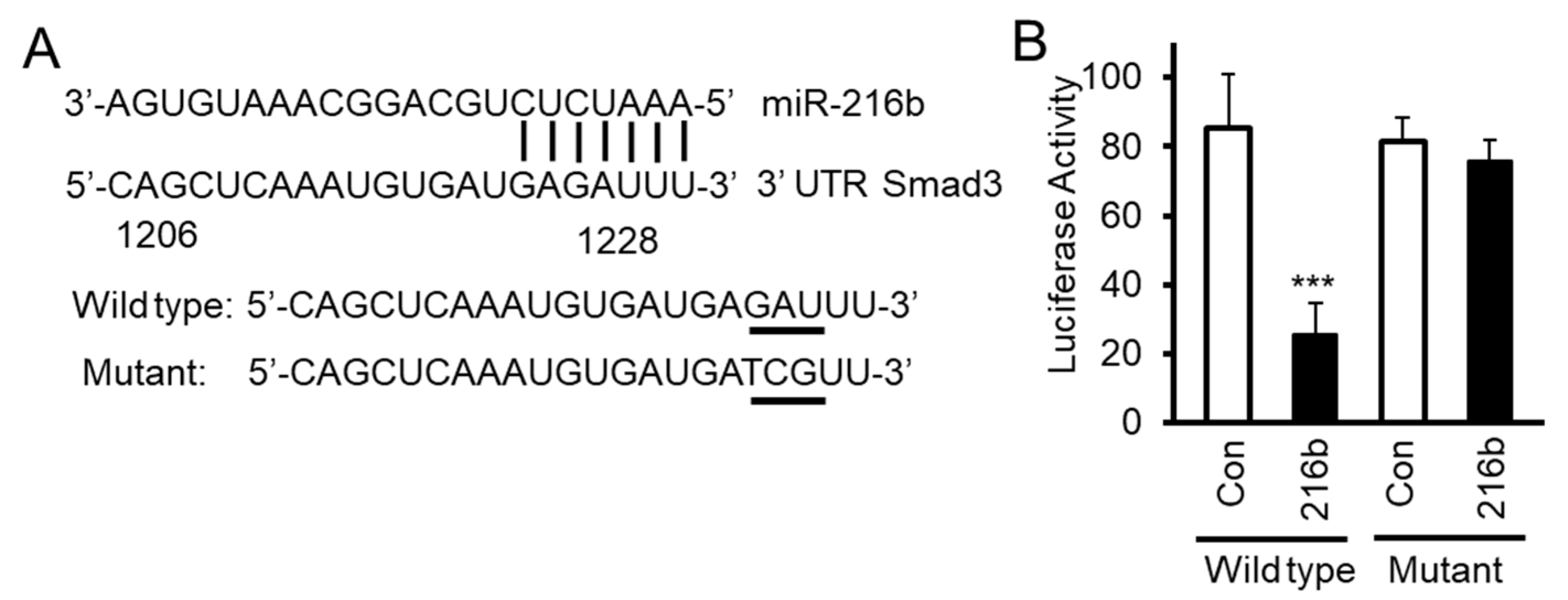 Cancers 12 01879 g004 Cancers 12 01879 g004