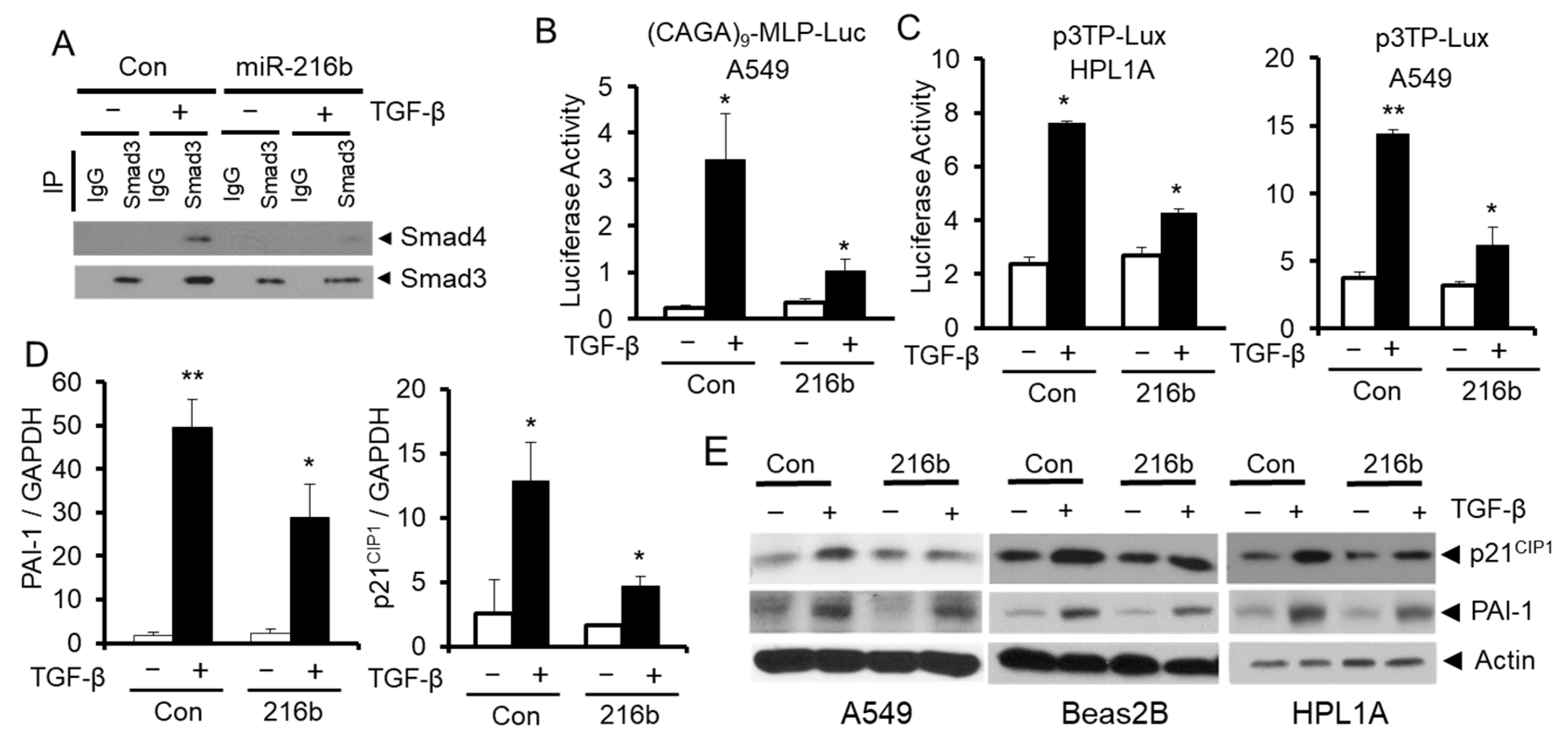 Cancers 12 01879 g005 Cancers 12 01879 g005