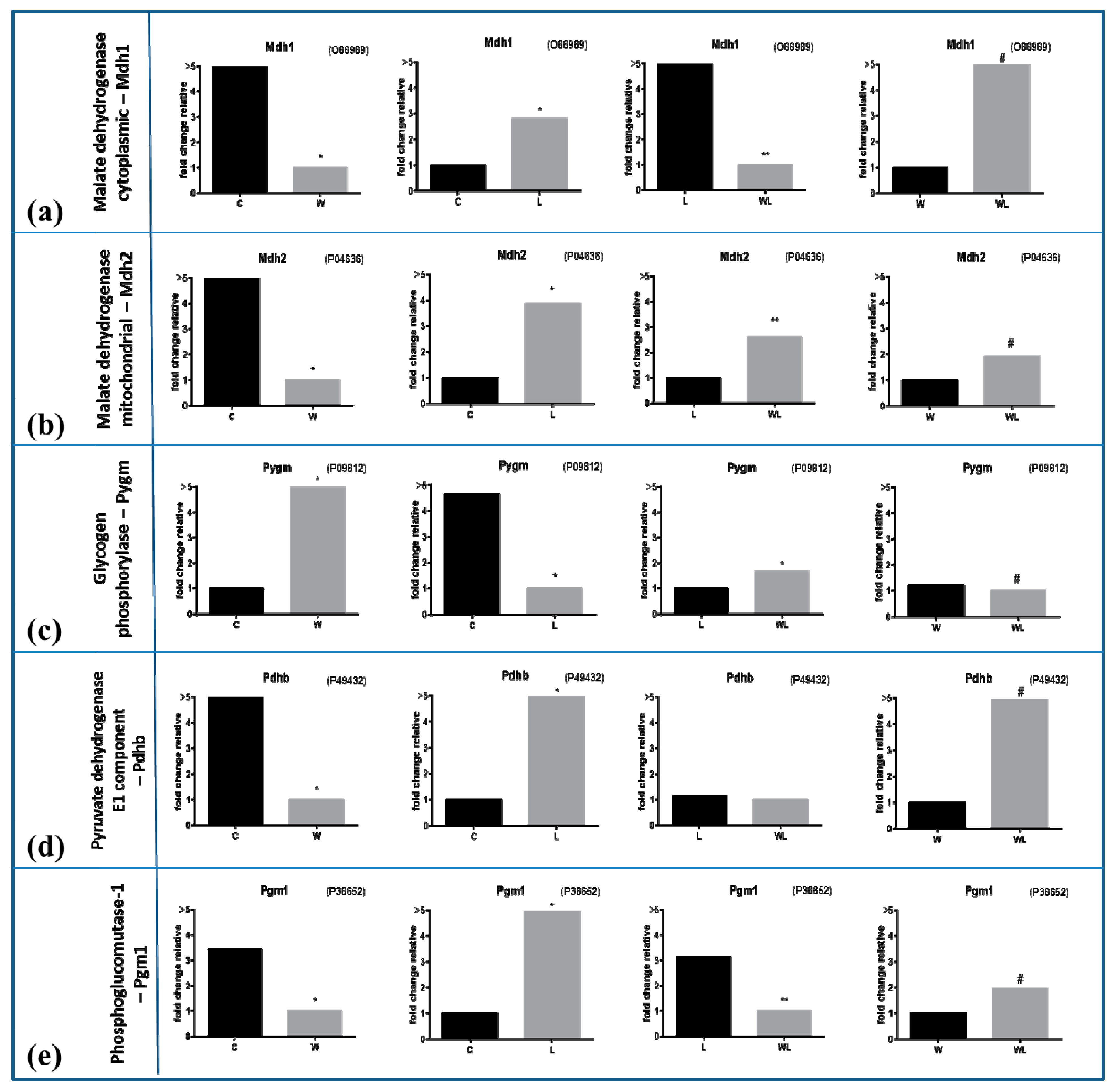 Cancers 12 01880 g005 Cancers 12 01880 g005